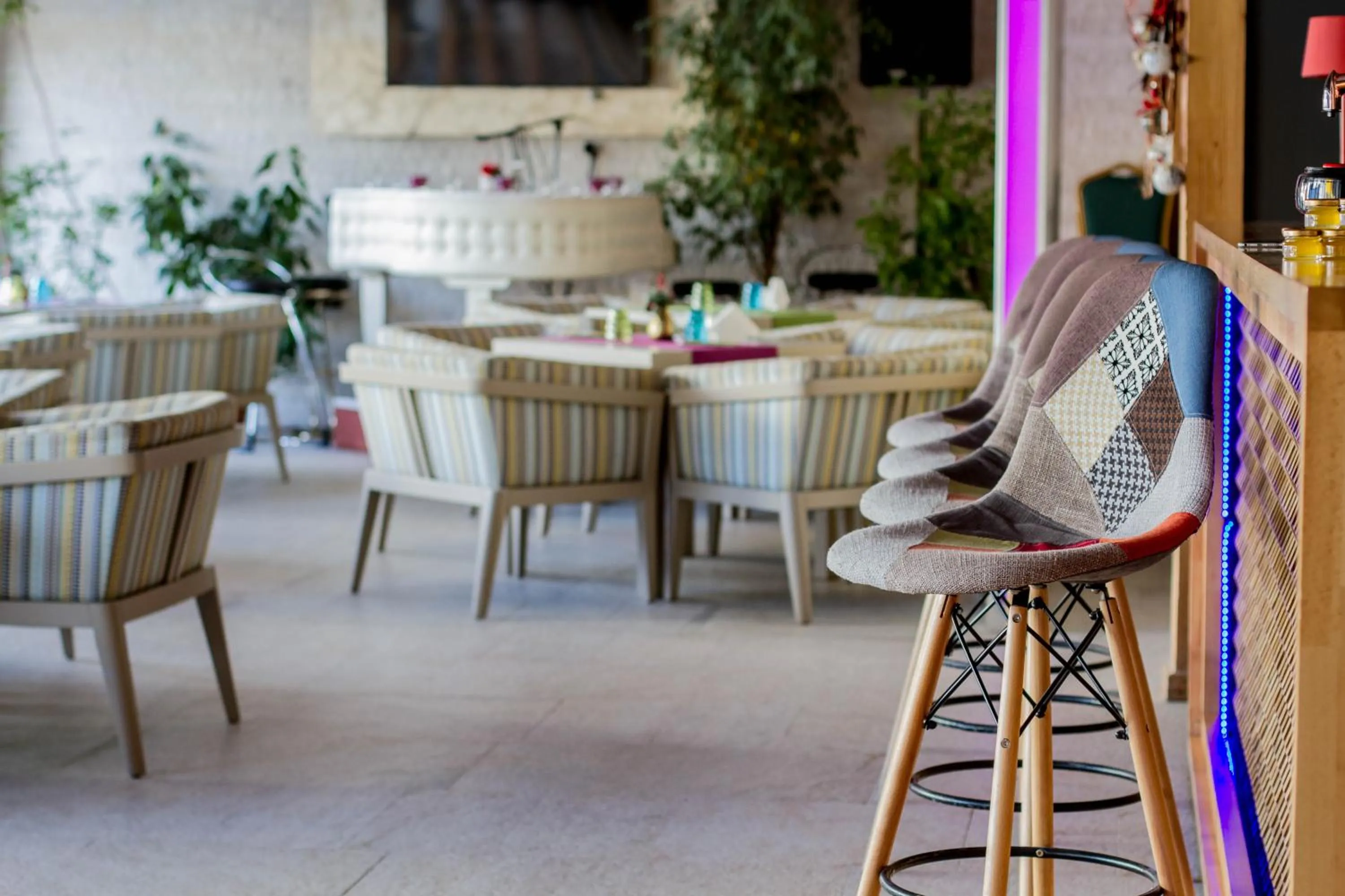 Lounge or bar in Hotel Dragului