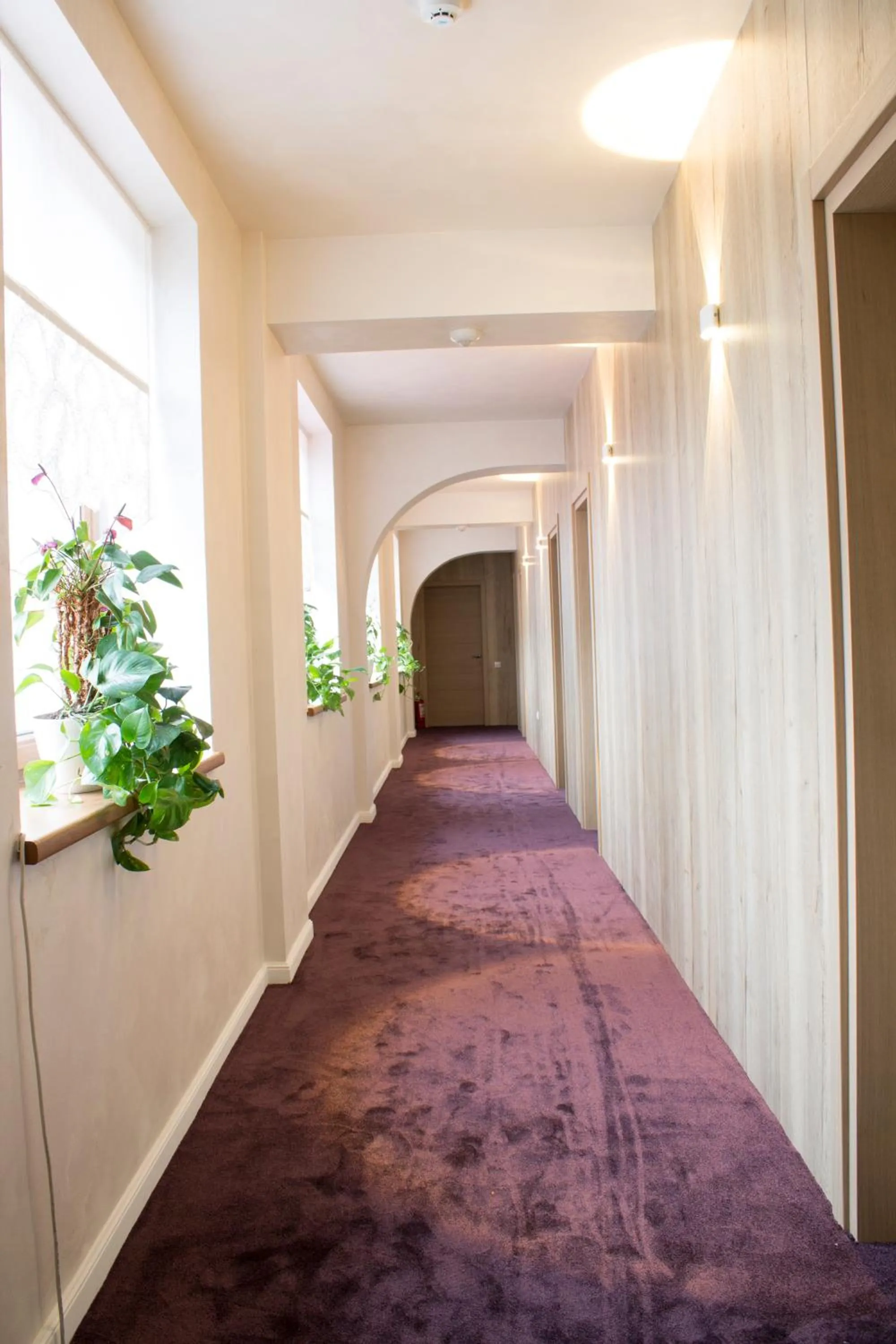 Day in Hotel Dragului