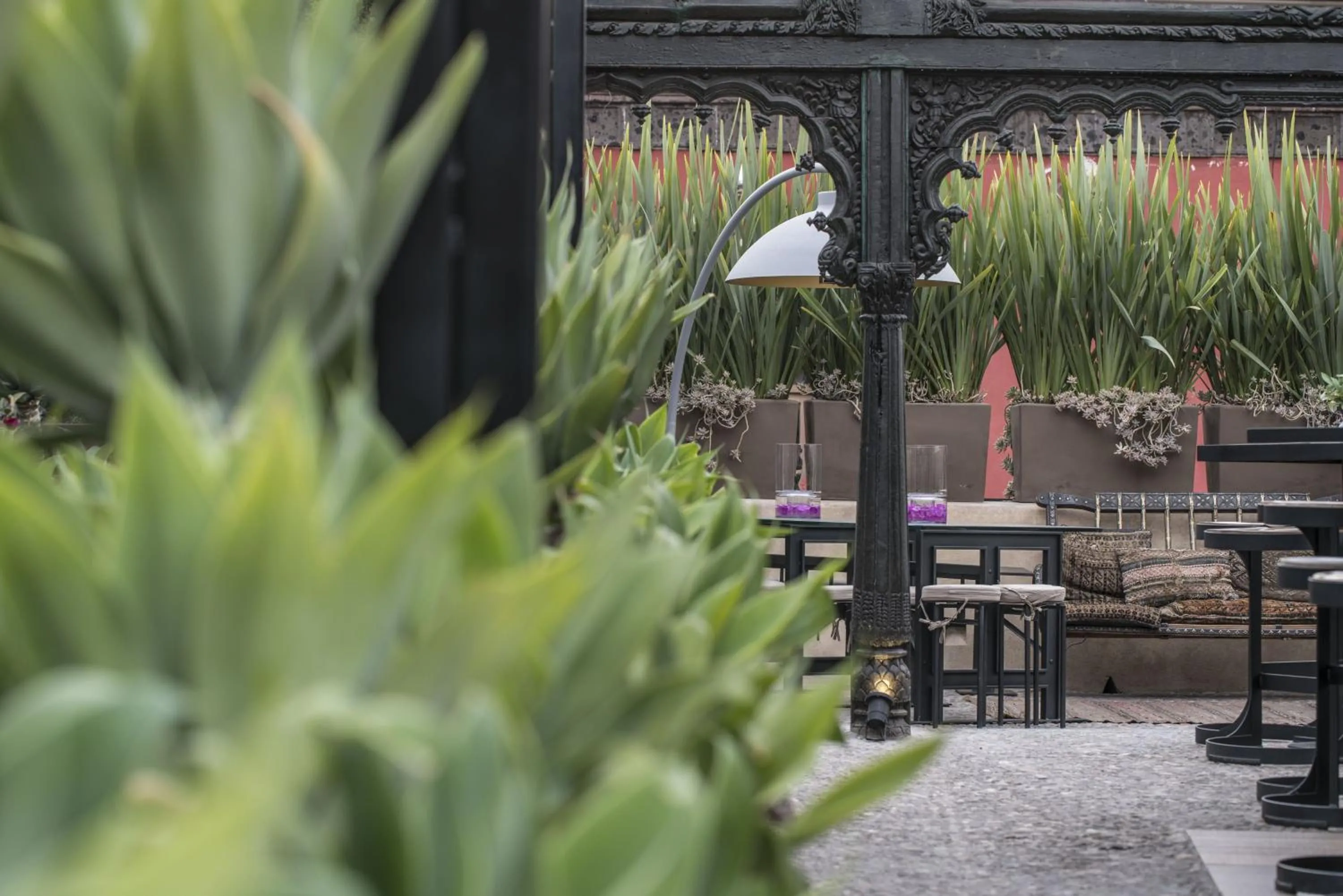 Area and facilities in Casa No Name Small Luxury Hotel