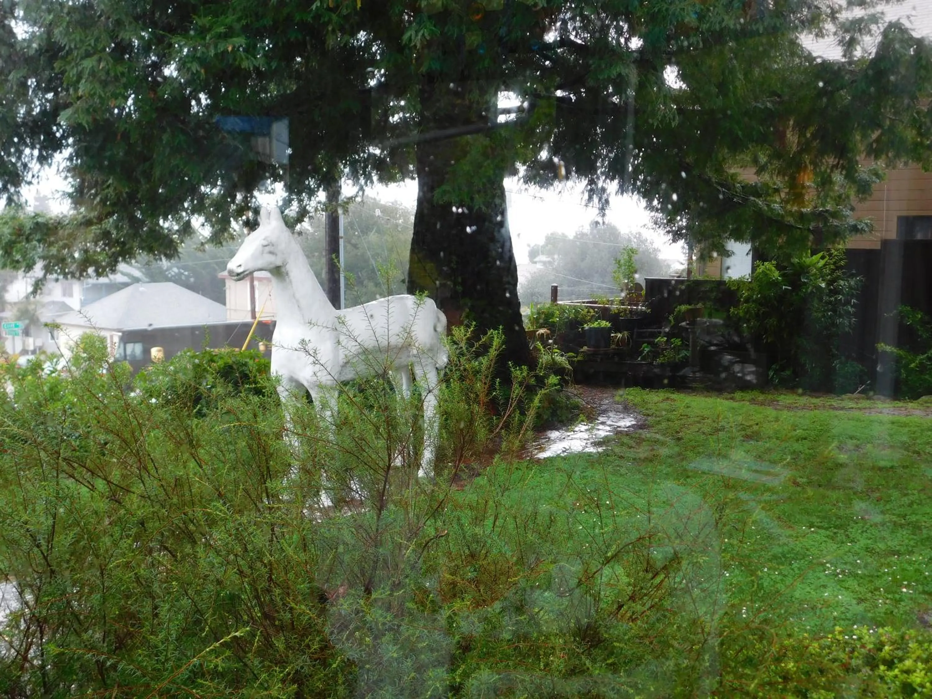 Garden in Cliff Crest Inn