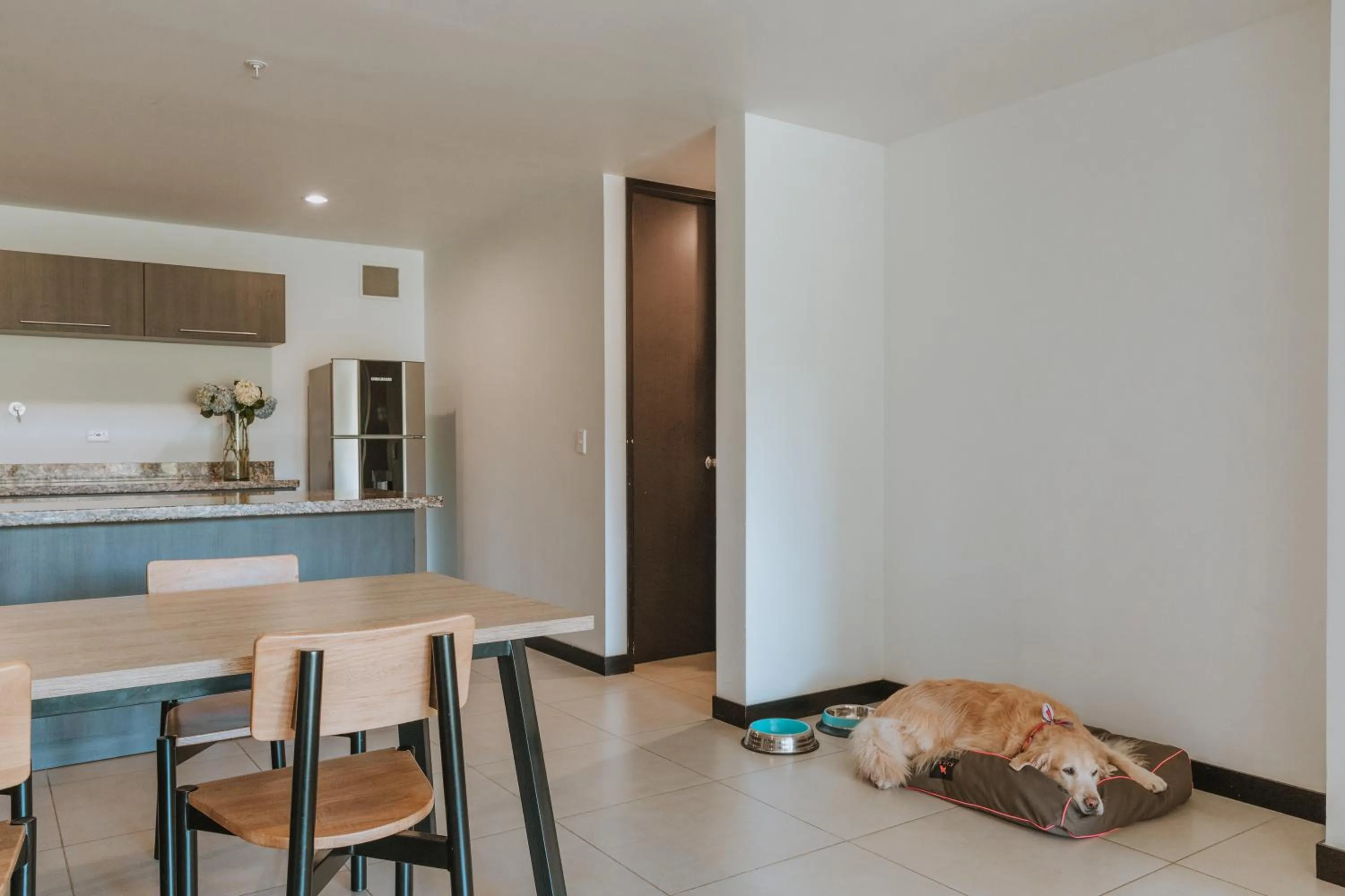 Kitchen or kitchenette in Travelers Rio Verde Living Suites