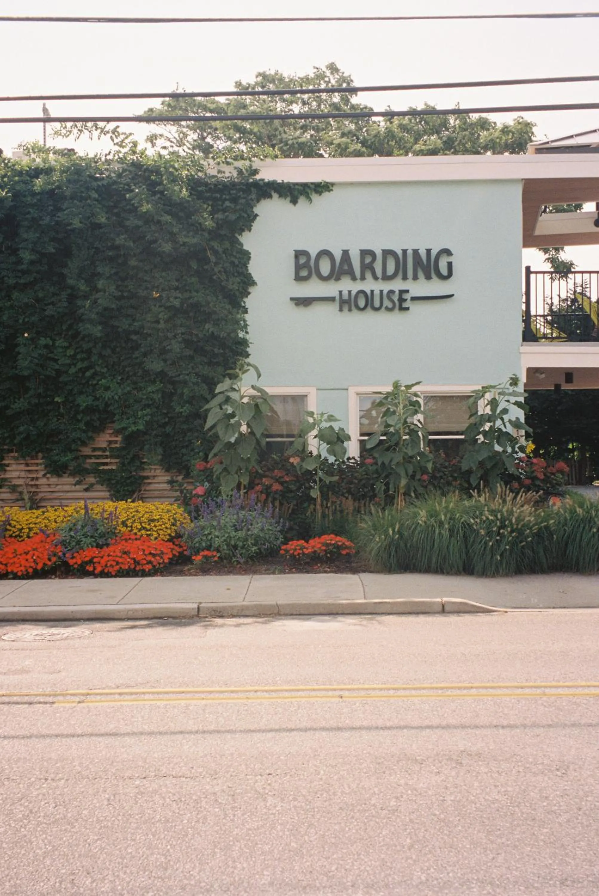 Garden in Boarding House Cape May