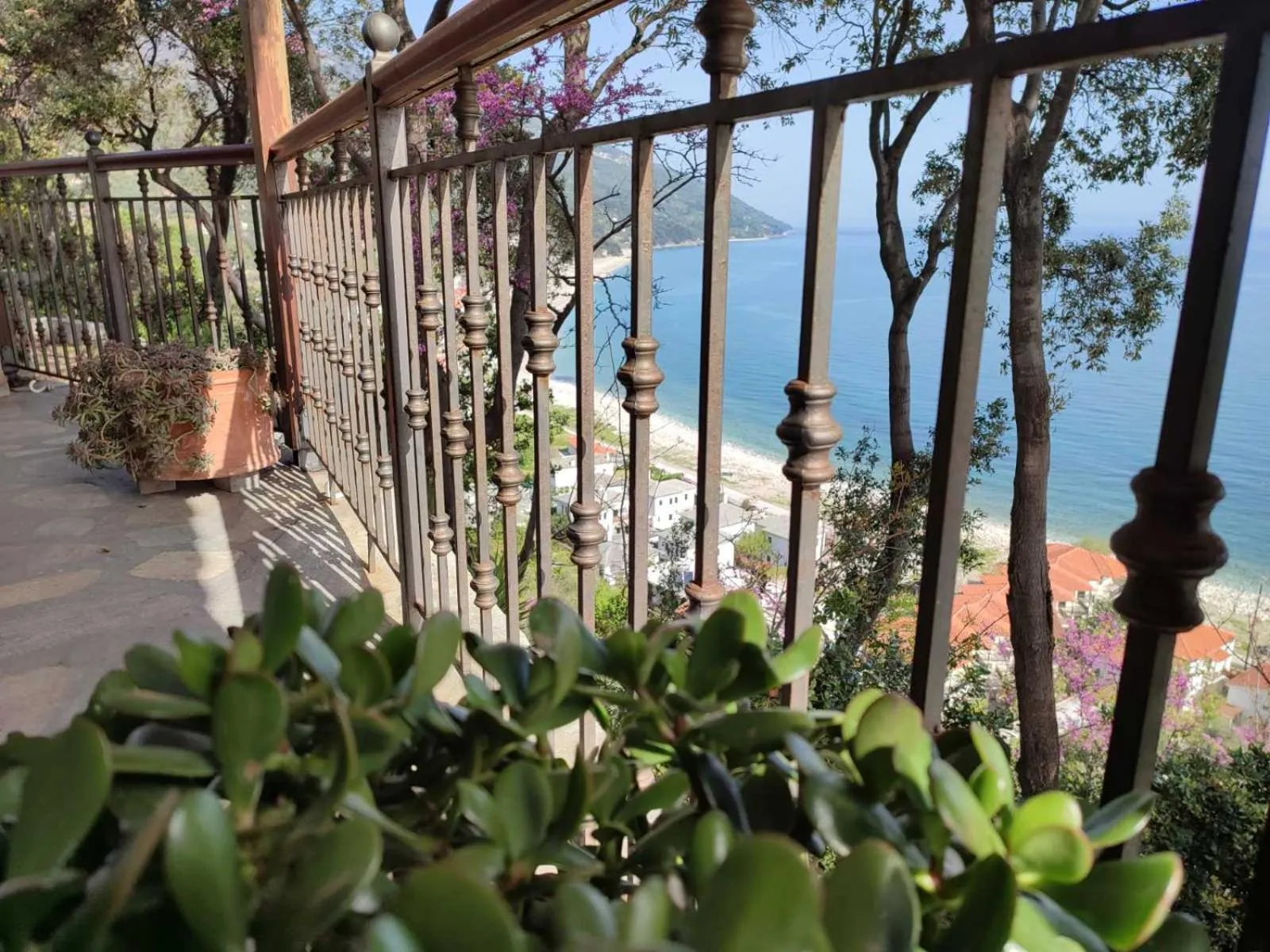 Sea view in Marabou Hotel Chorefto