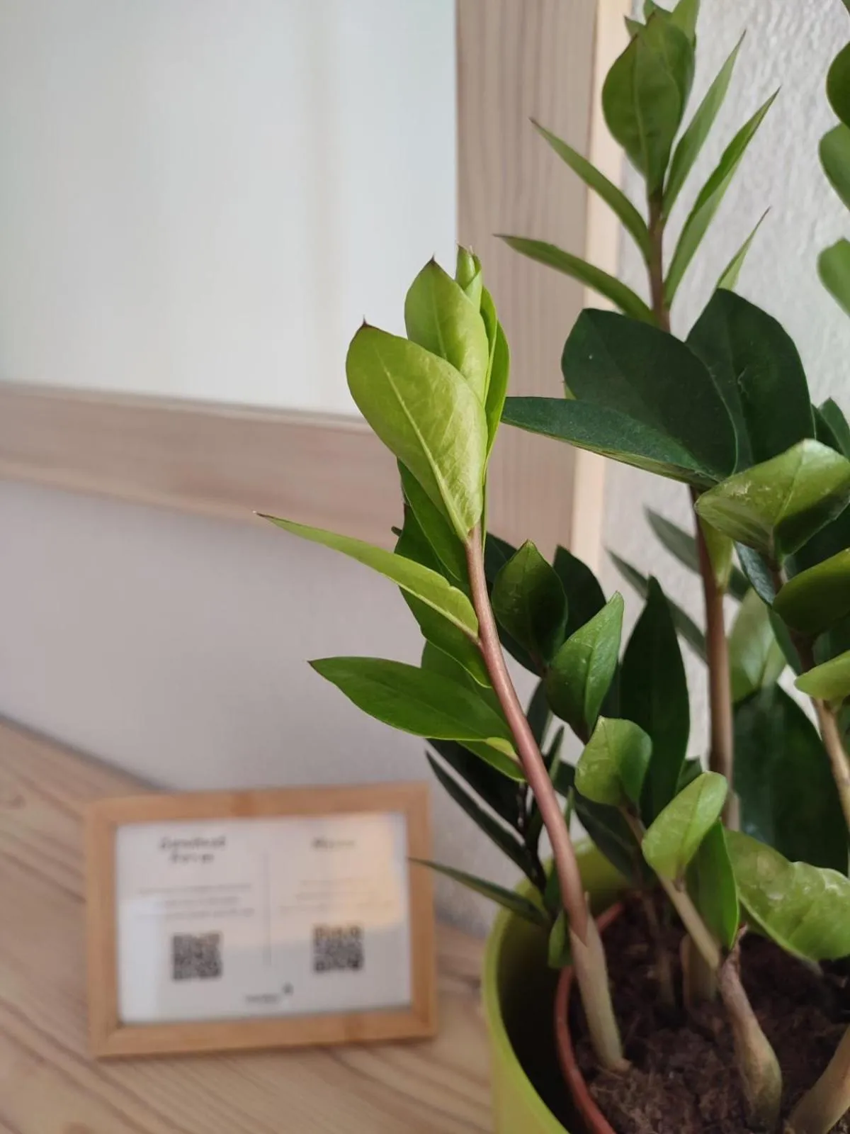 Marabou Hotel Chorefto