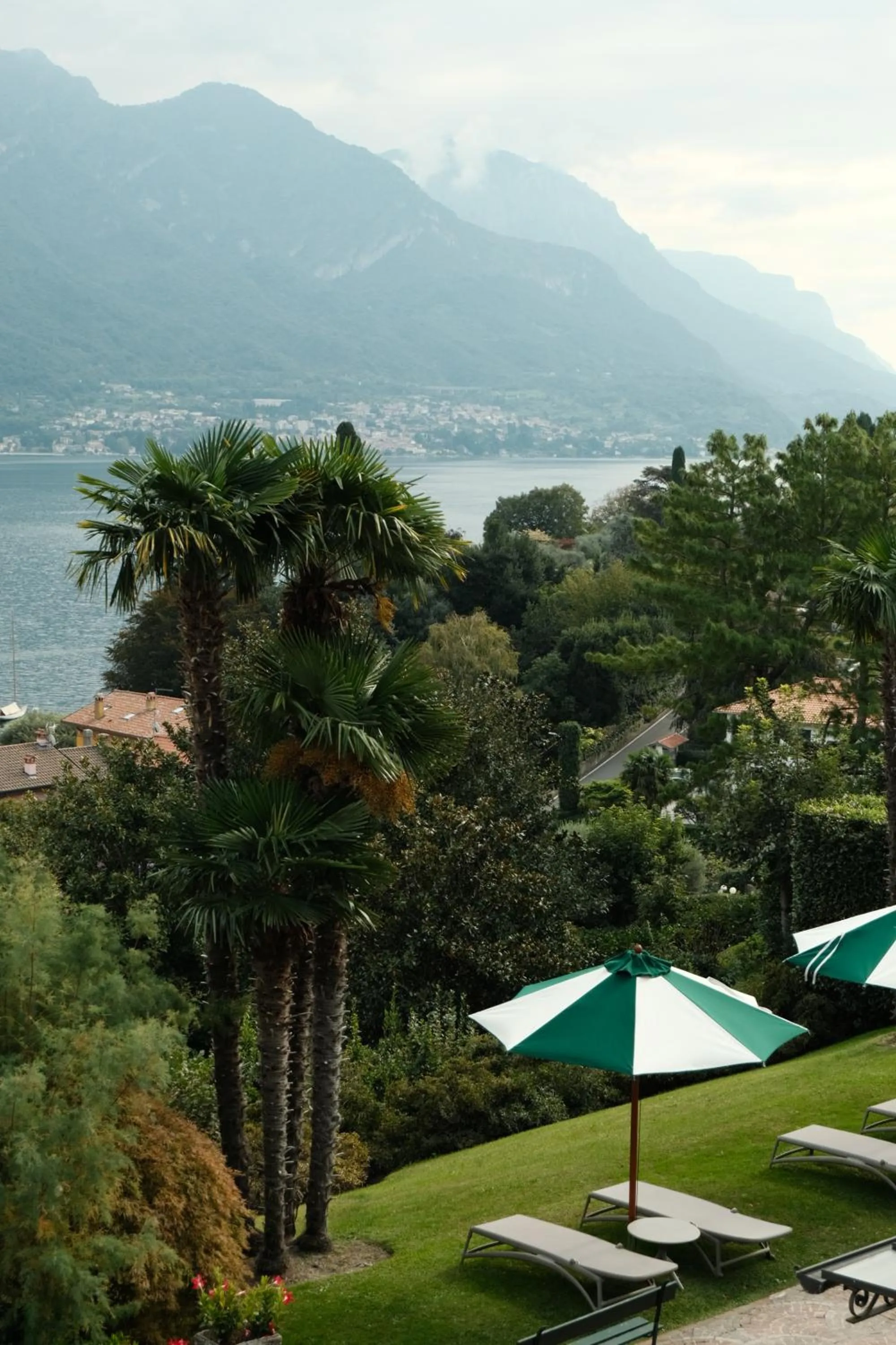 Garden in Hotel Belvedere