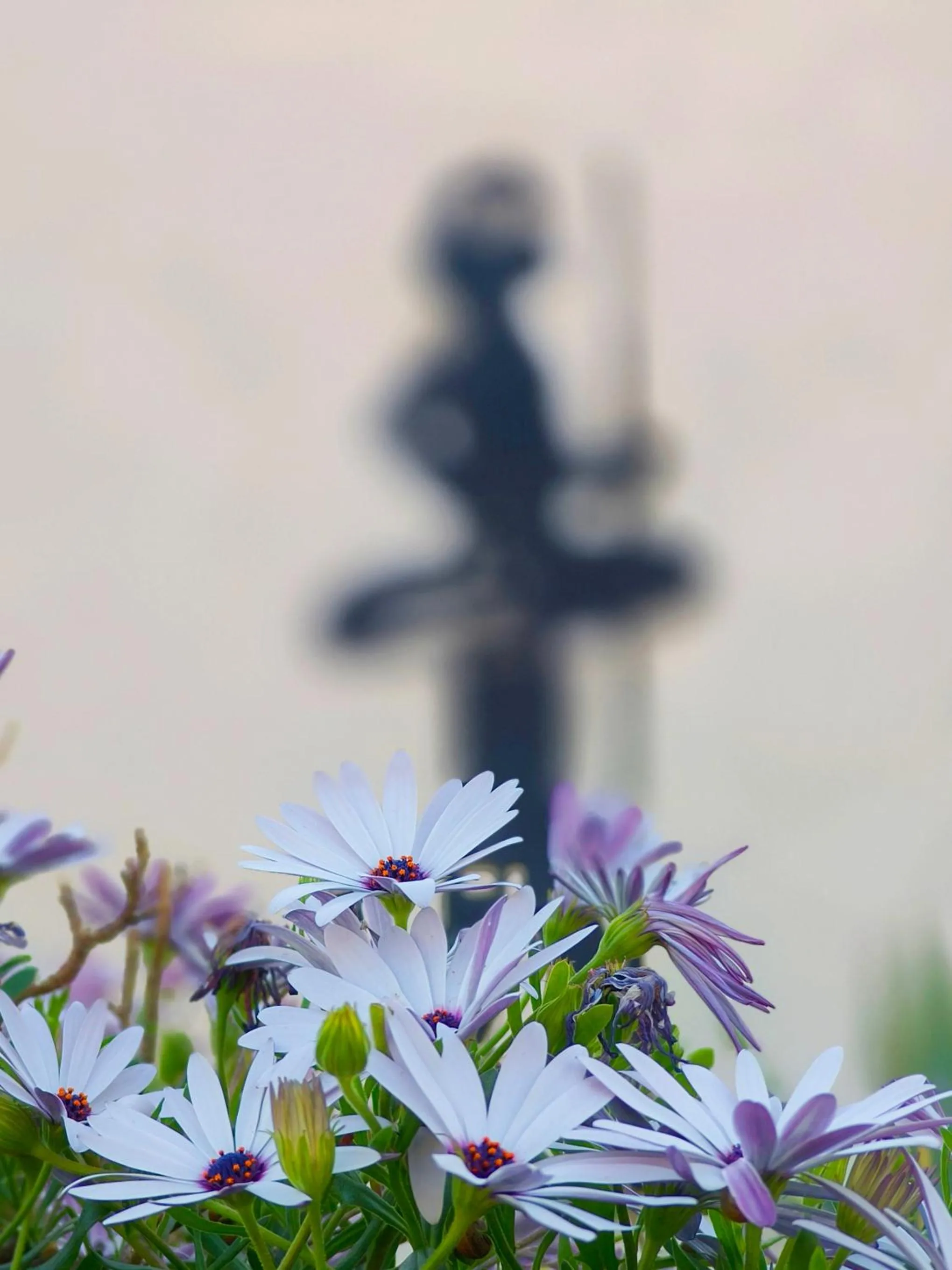 Garden in Red Chief Motel