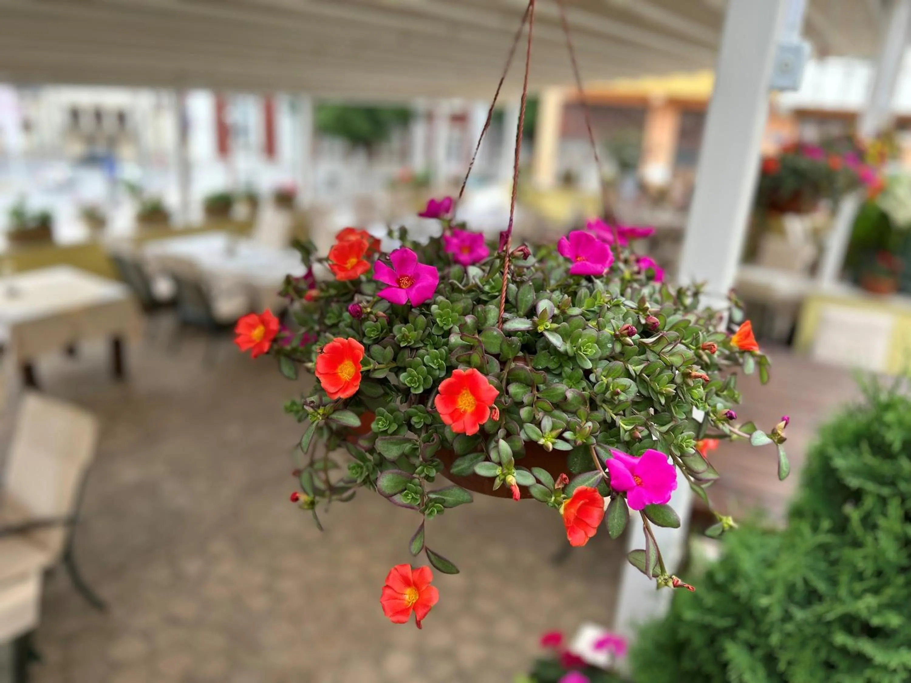 Restaurant/places to eat in Hotel Anna Palace