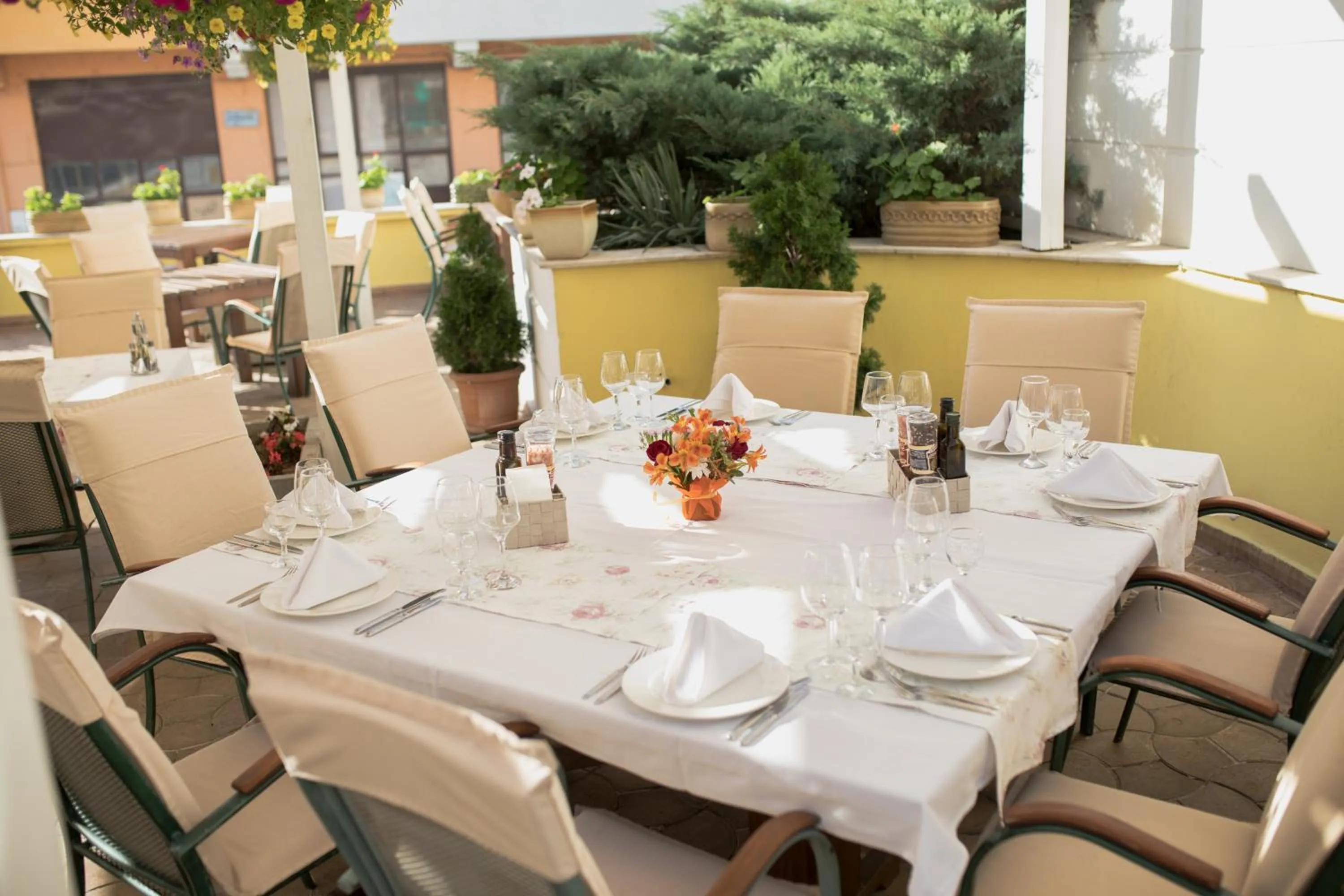 Restaurant/places to eat in Hotel Anna Palace