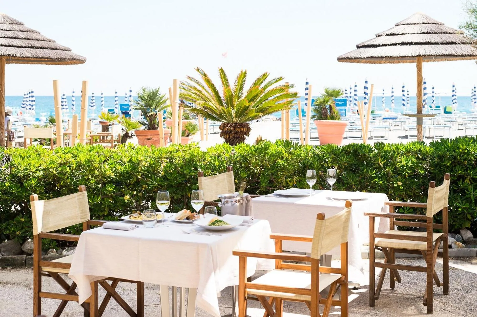 Restaurant/places to eat in Hotel Tirreno