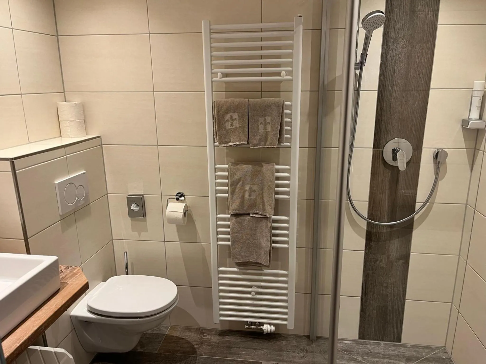 Shower in Hotel Solaria