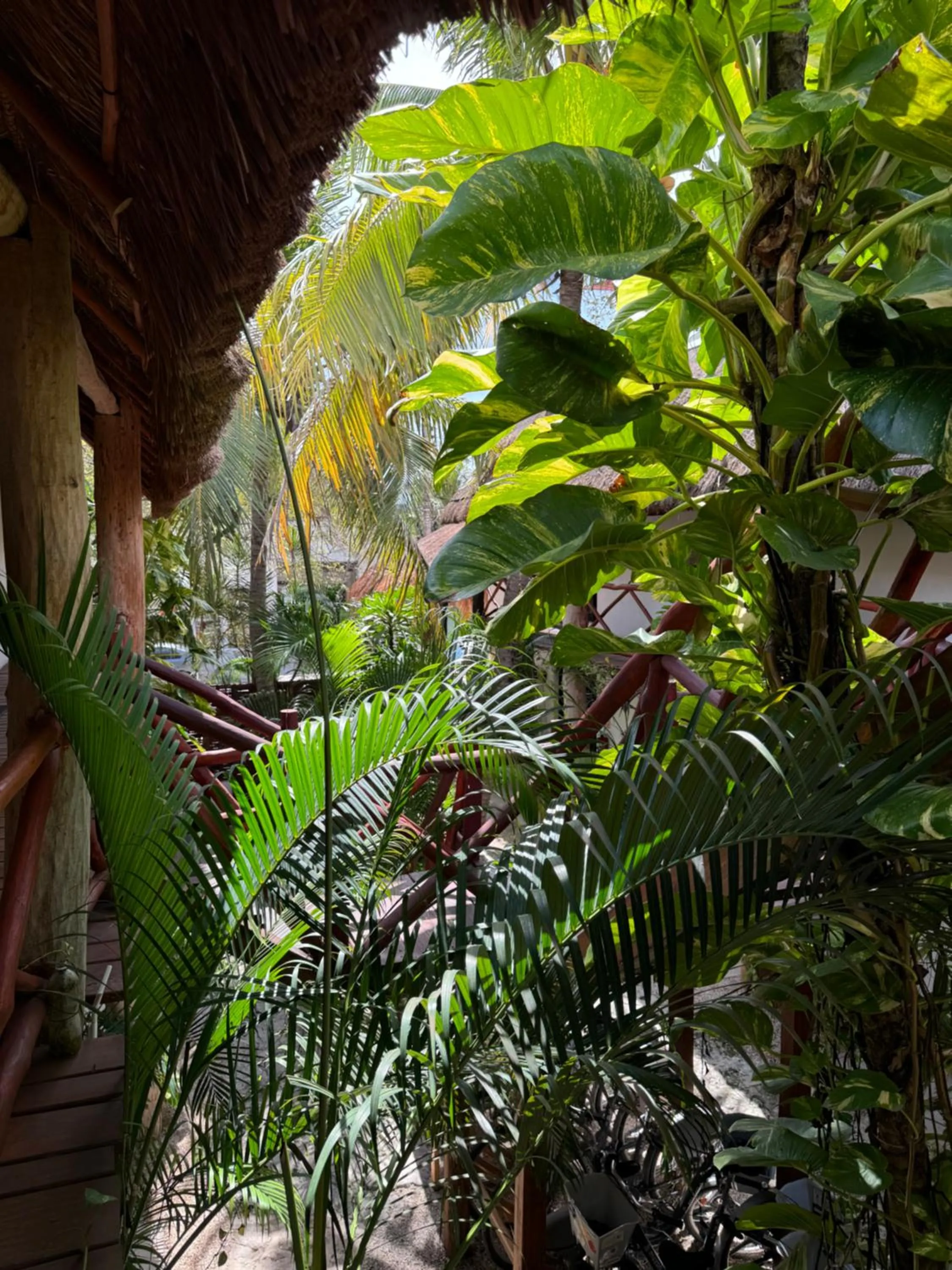 Natural landscape in Kin Ha Tulum Hotel