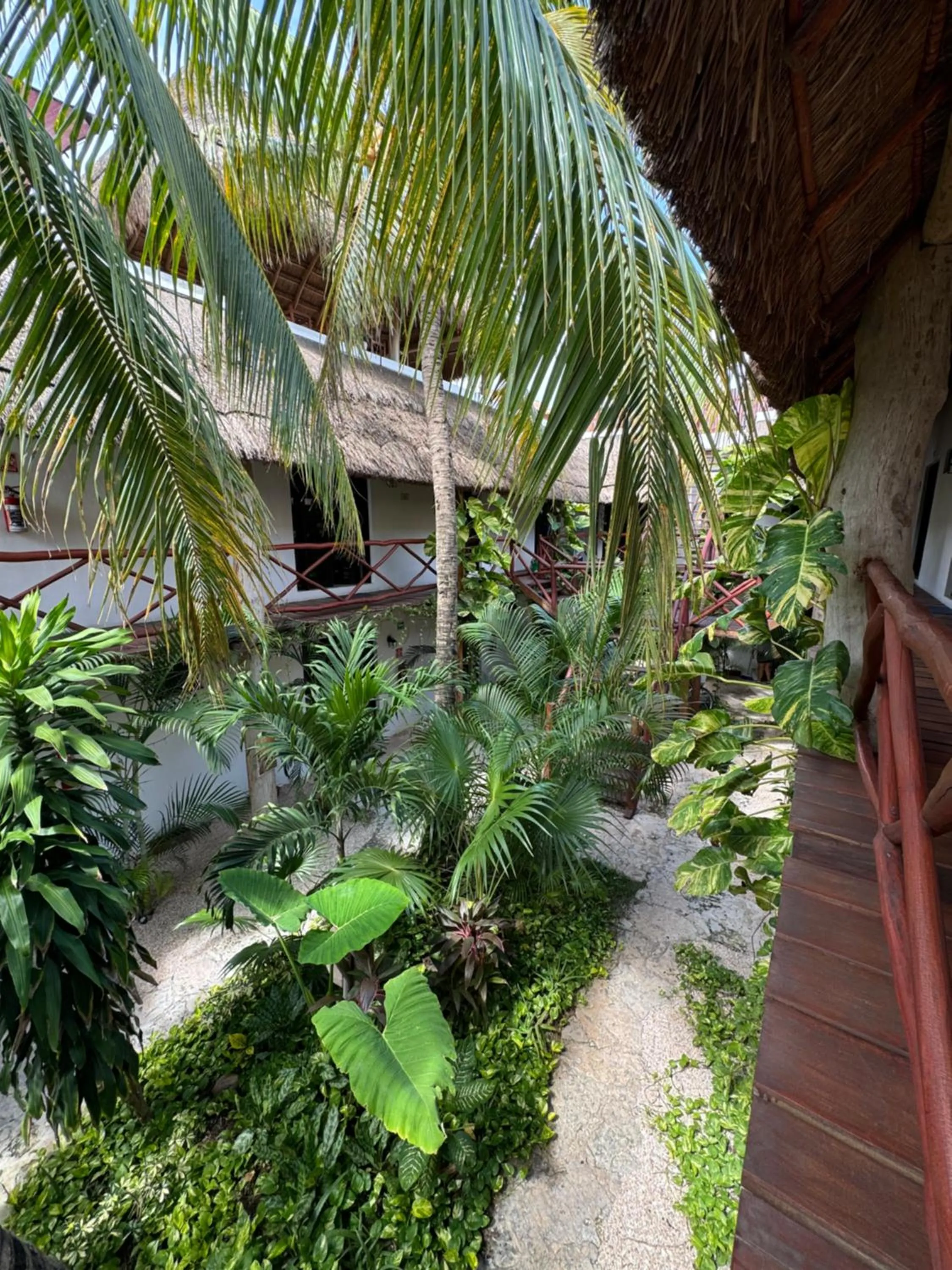 Natural landscape in Kin Ha Tulum Hotel