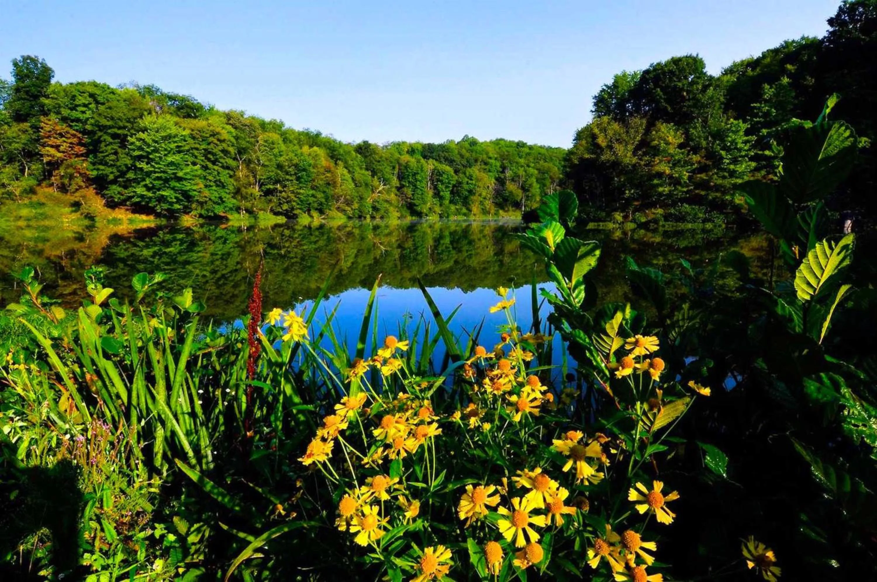 Nearby landmark in Holiday Inn Weirton-Steubenville Area