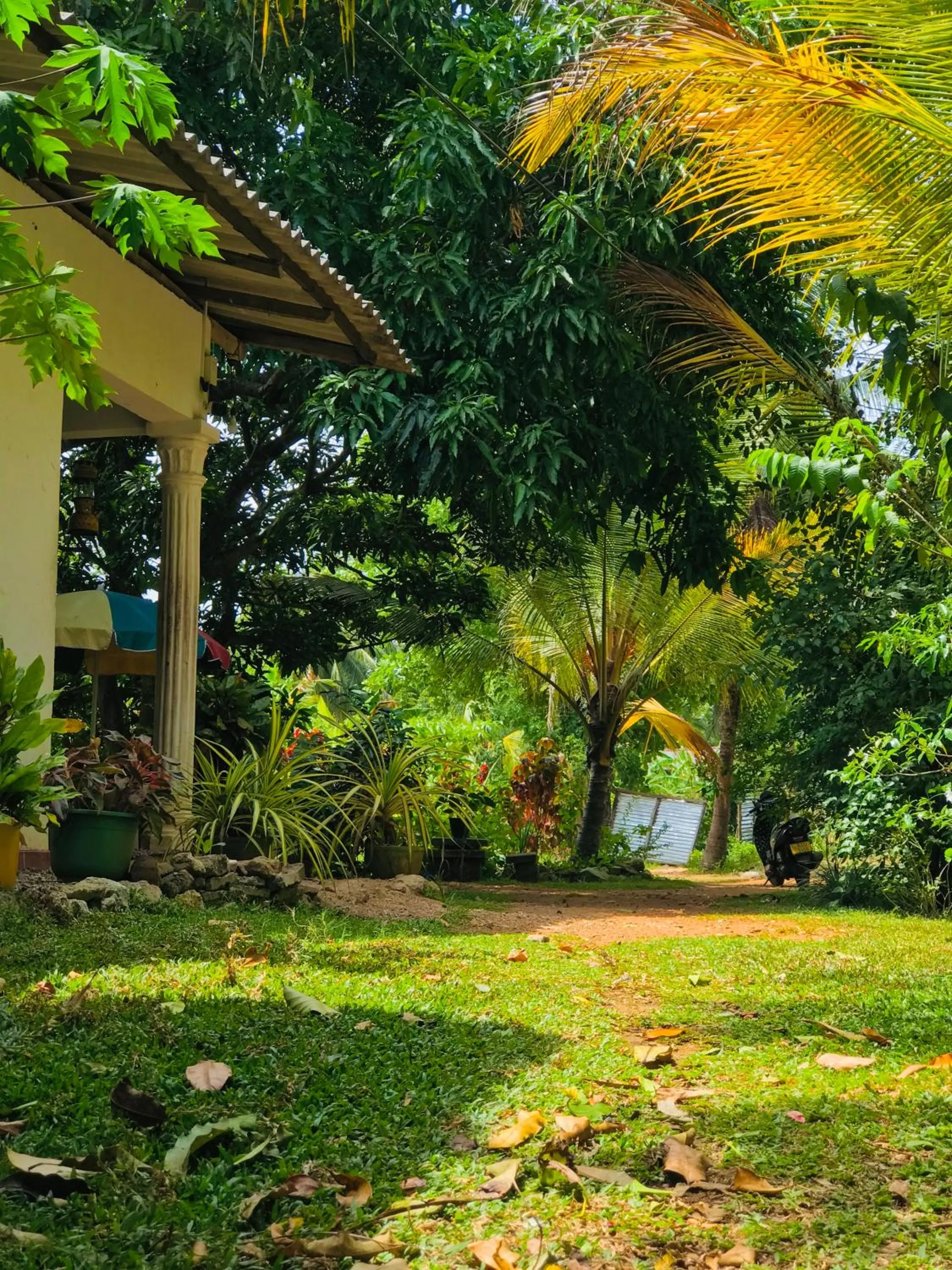 Garden in Sigiri Lakshan Home Stay