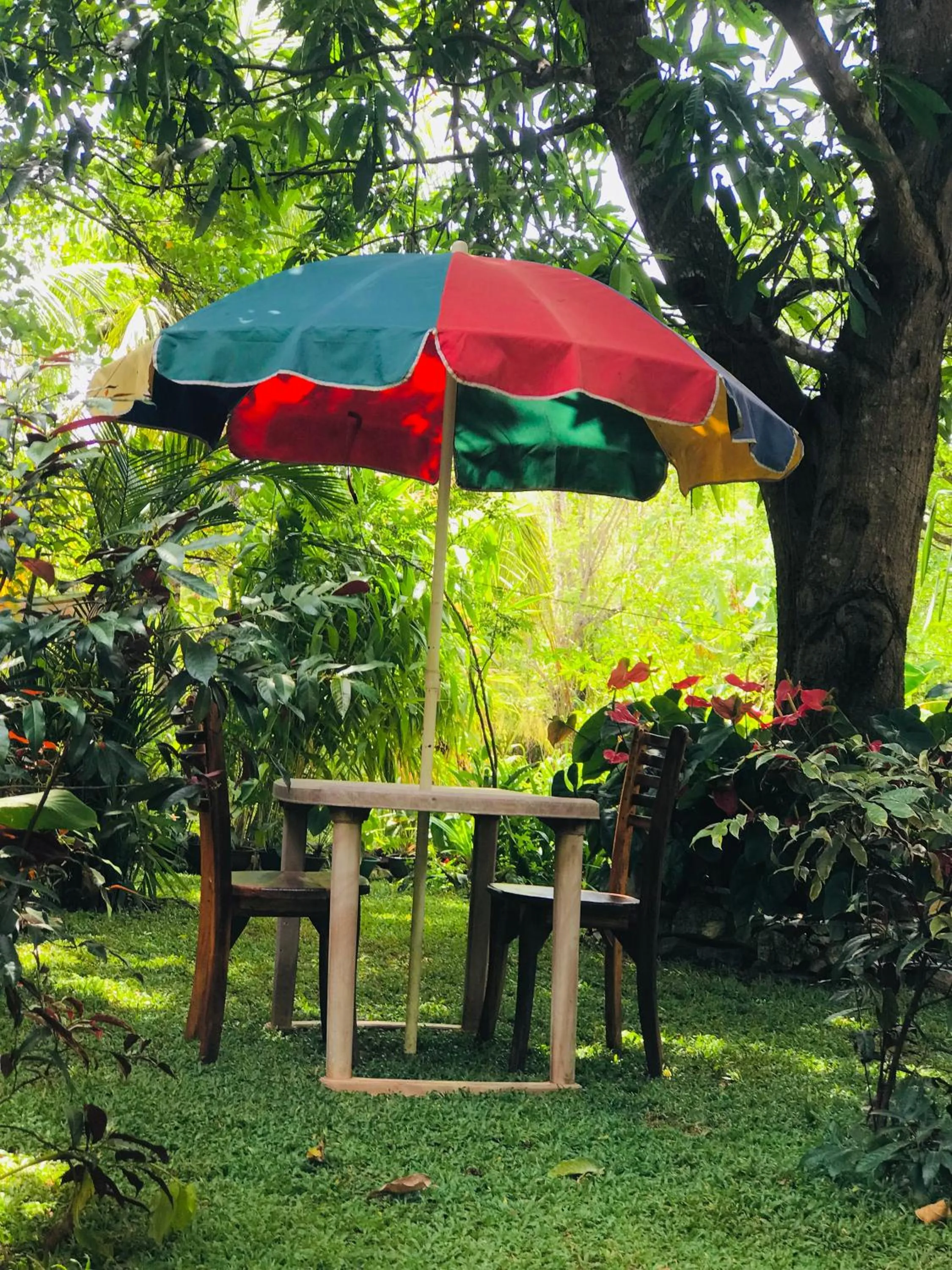 Garden in Sigiri Lakshan Home Stay