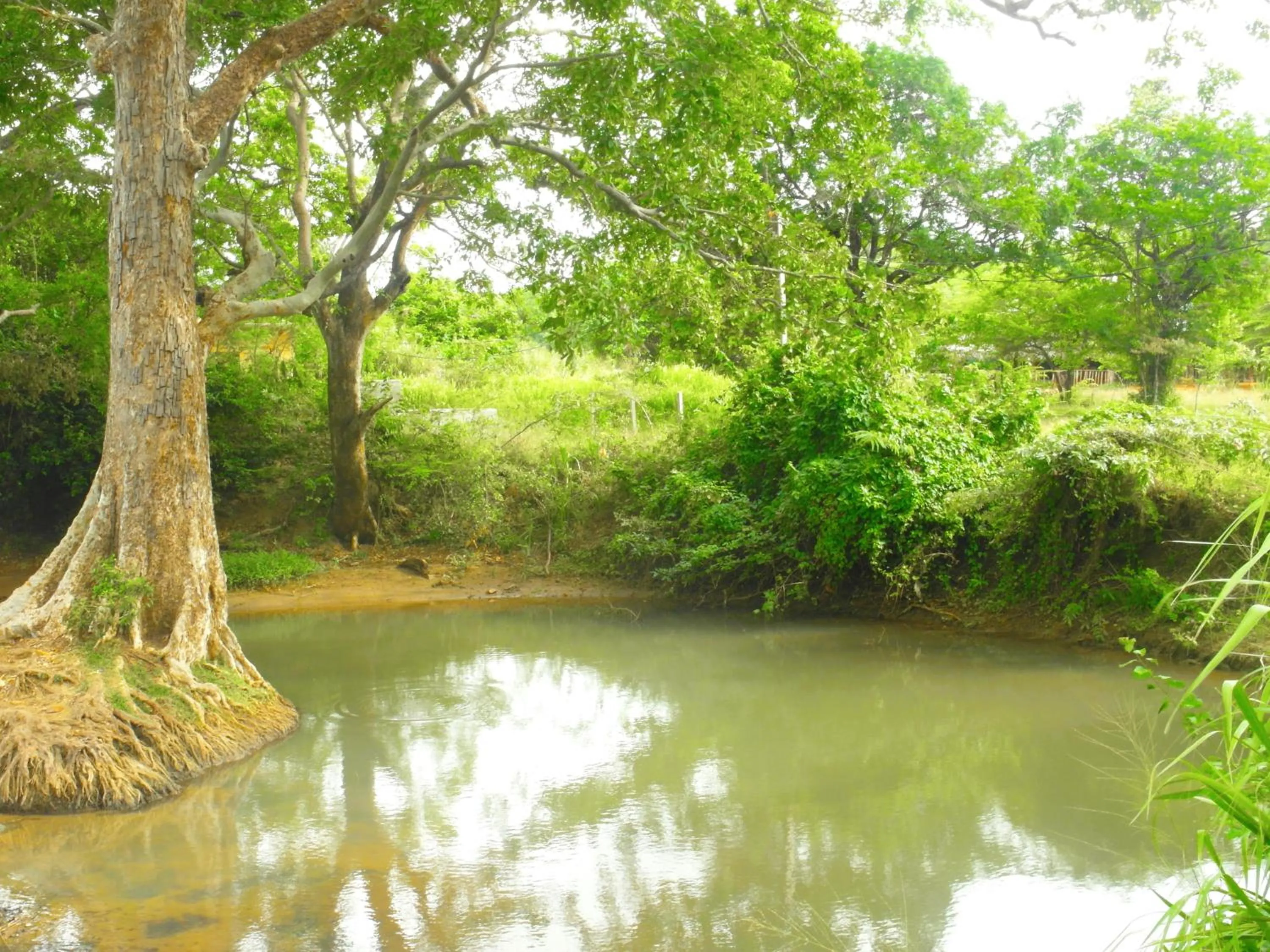 River view in Sigiri Lakshan Home Stay