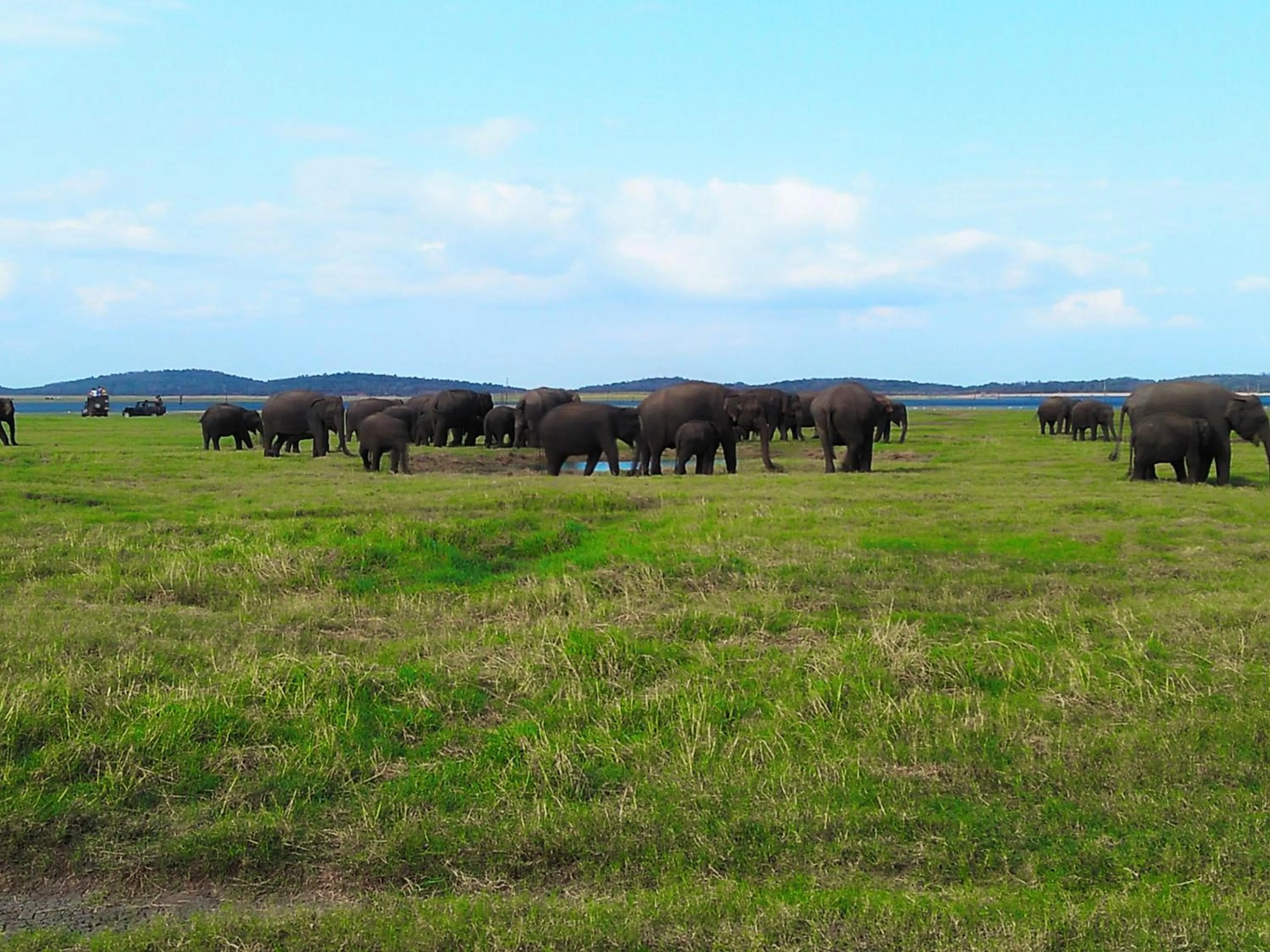 View (from property/room) in Sigiri Lakshan Home Stay
