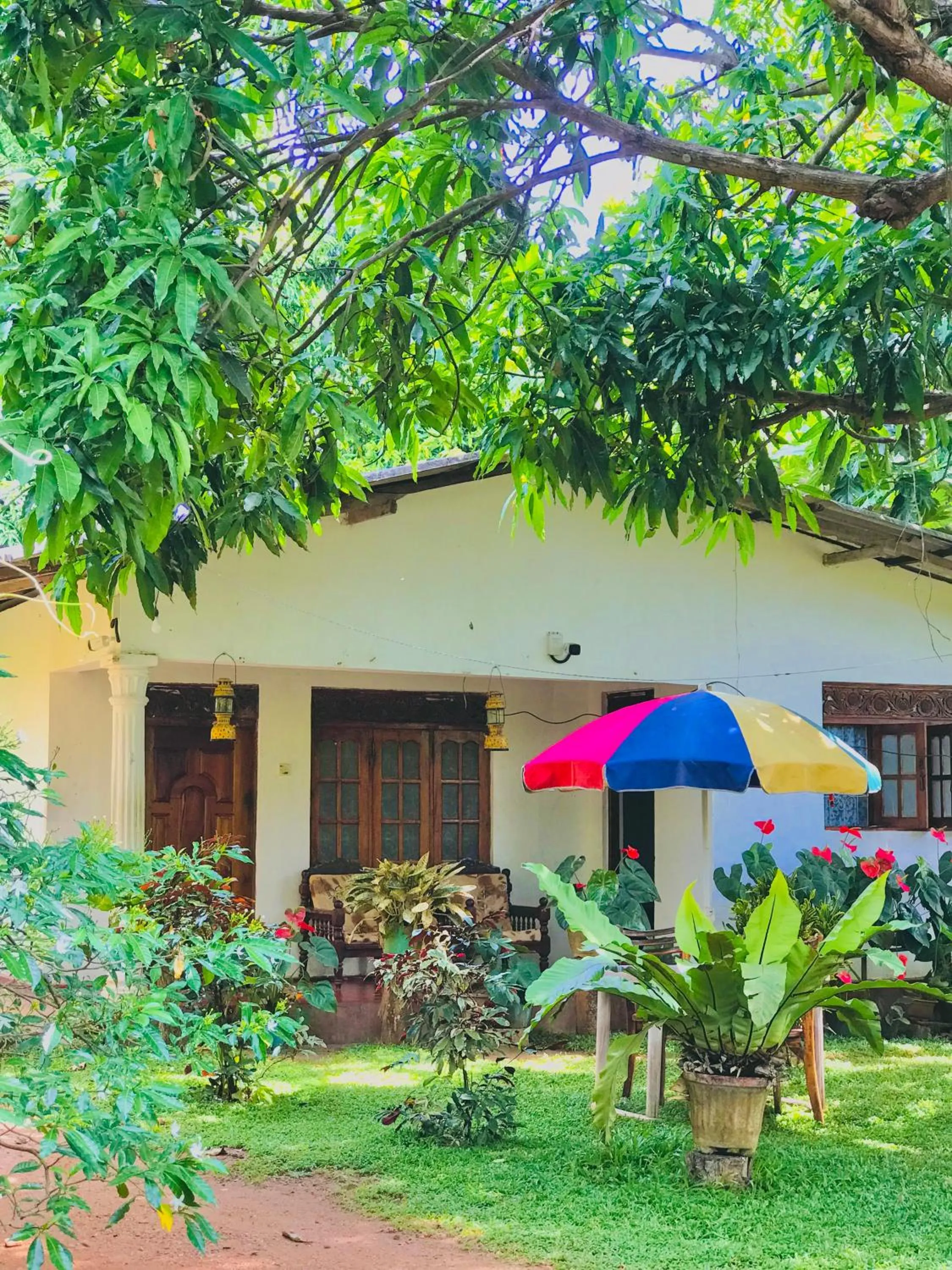 Garden in Sigiri Lakshan Home Stay