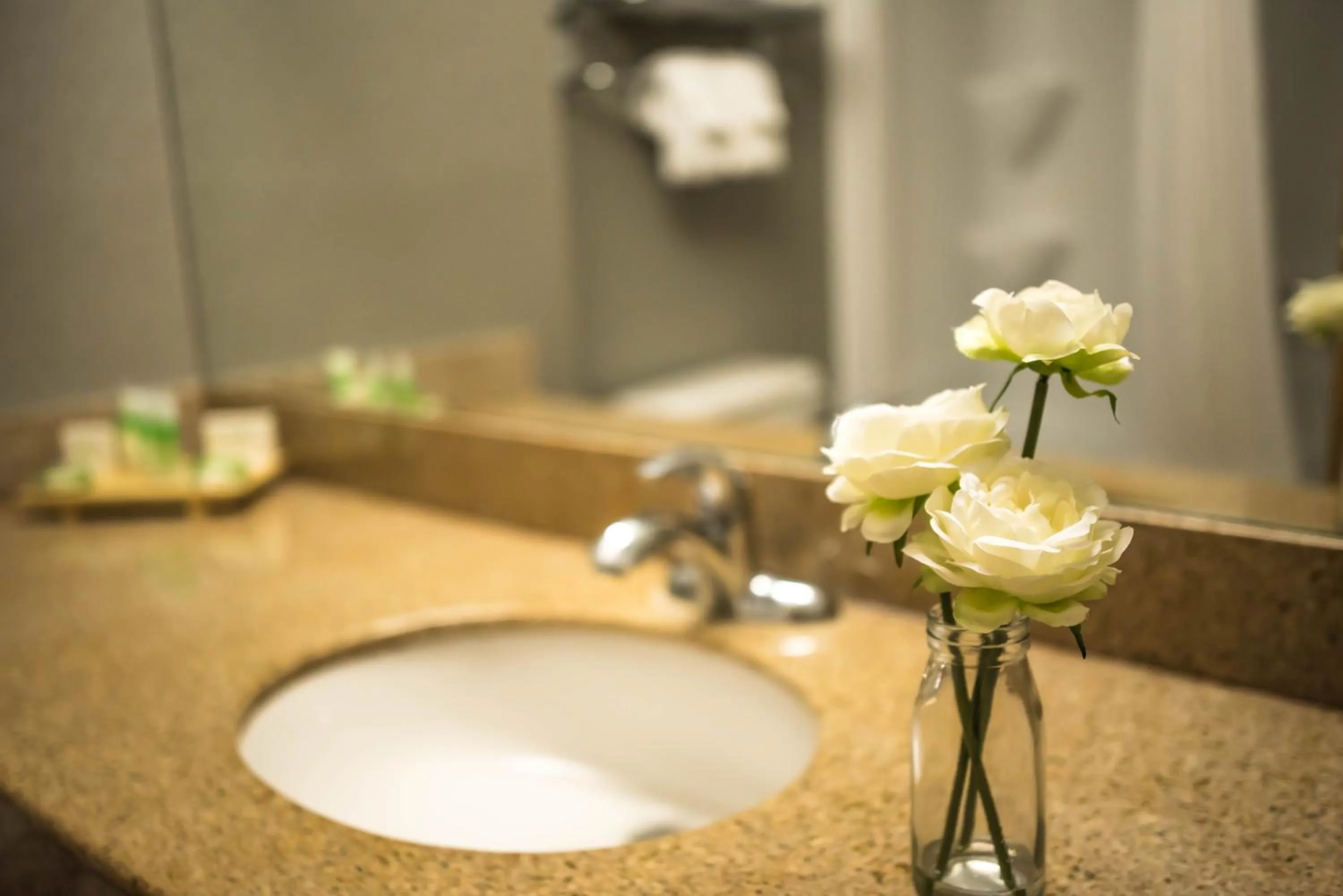 Bathroom in Cambridge Hotel and Conference Centre