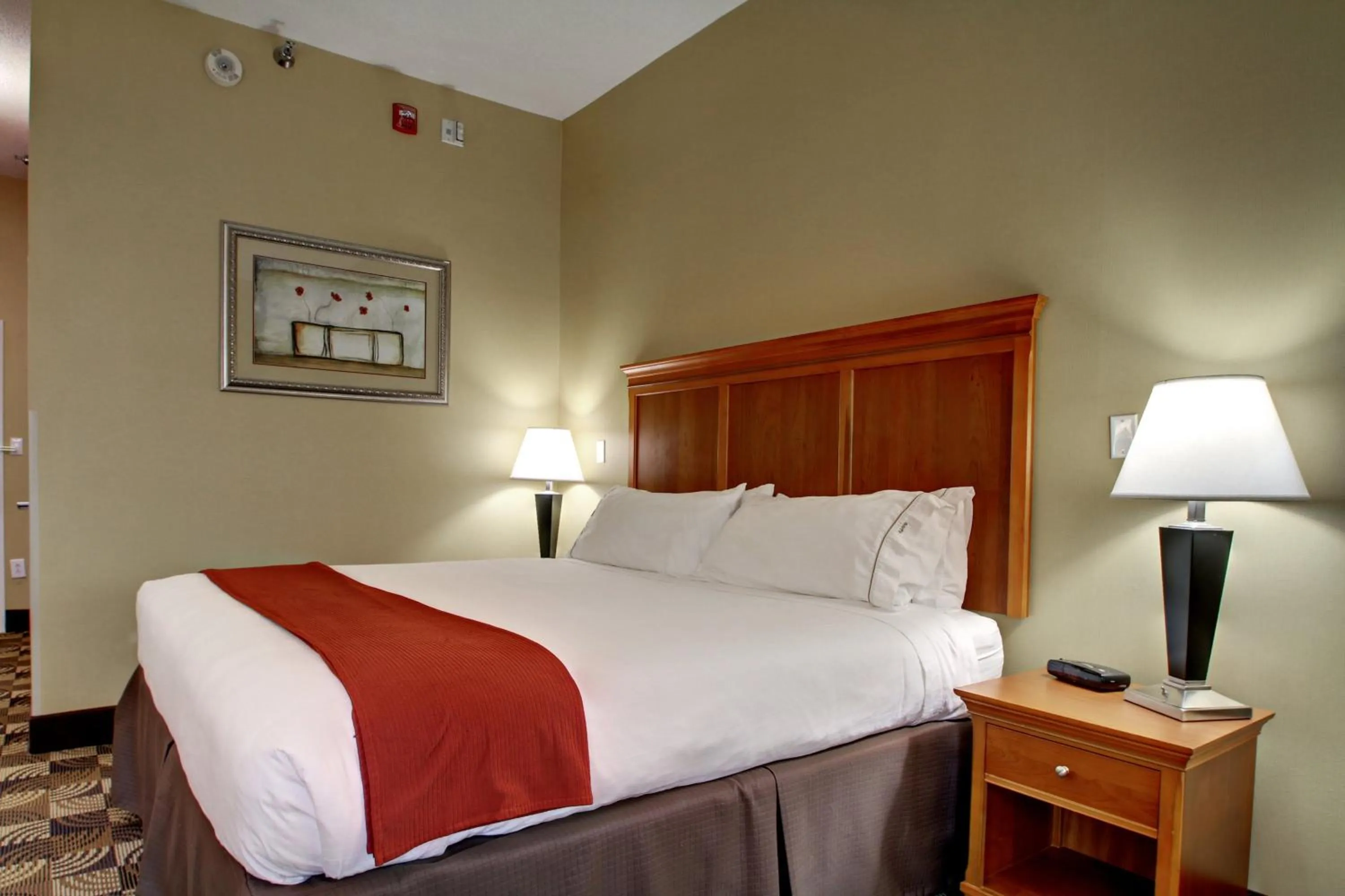 Photo of the whole room, Bed in Holiday Inn Express Hurricane Mills Waverly by IHG