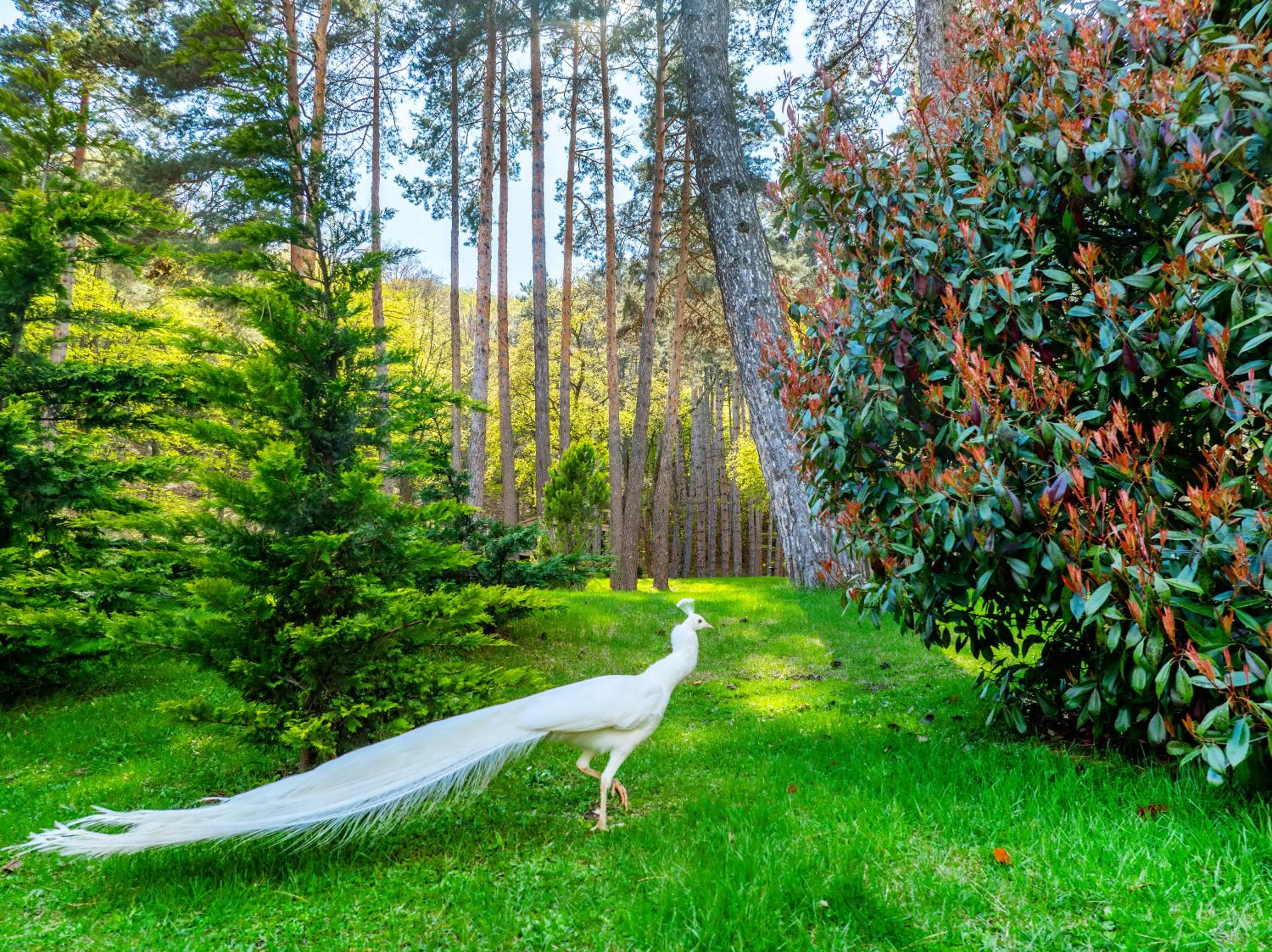 Bioli Wellness Resort