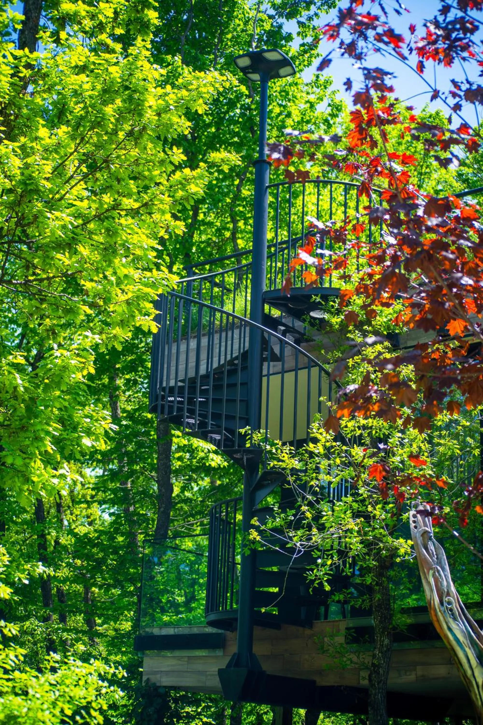 Bioli Wellness Resort