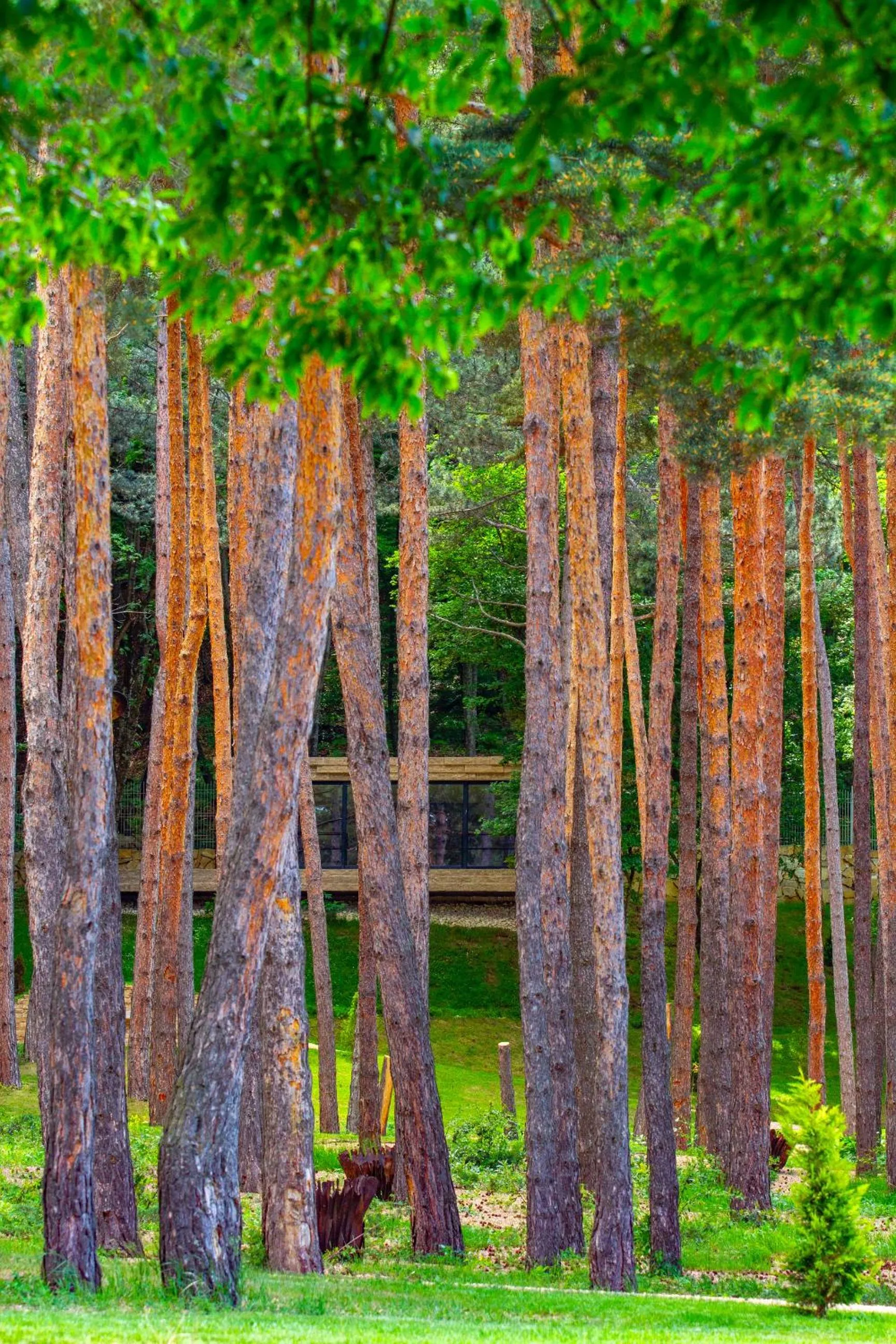 Bioli Wellness Resort