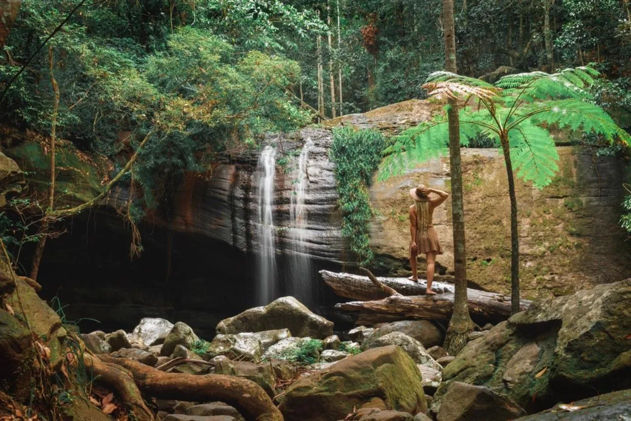 Amore On Buderim Rainforest Cabins