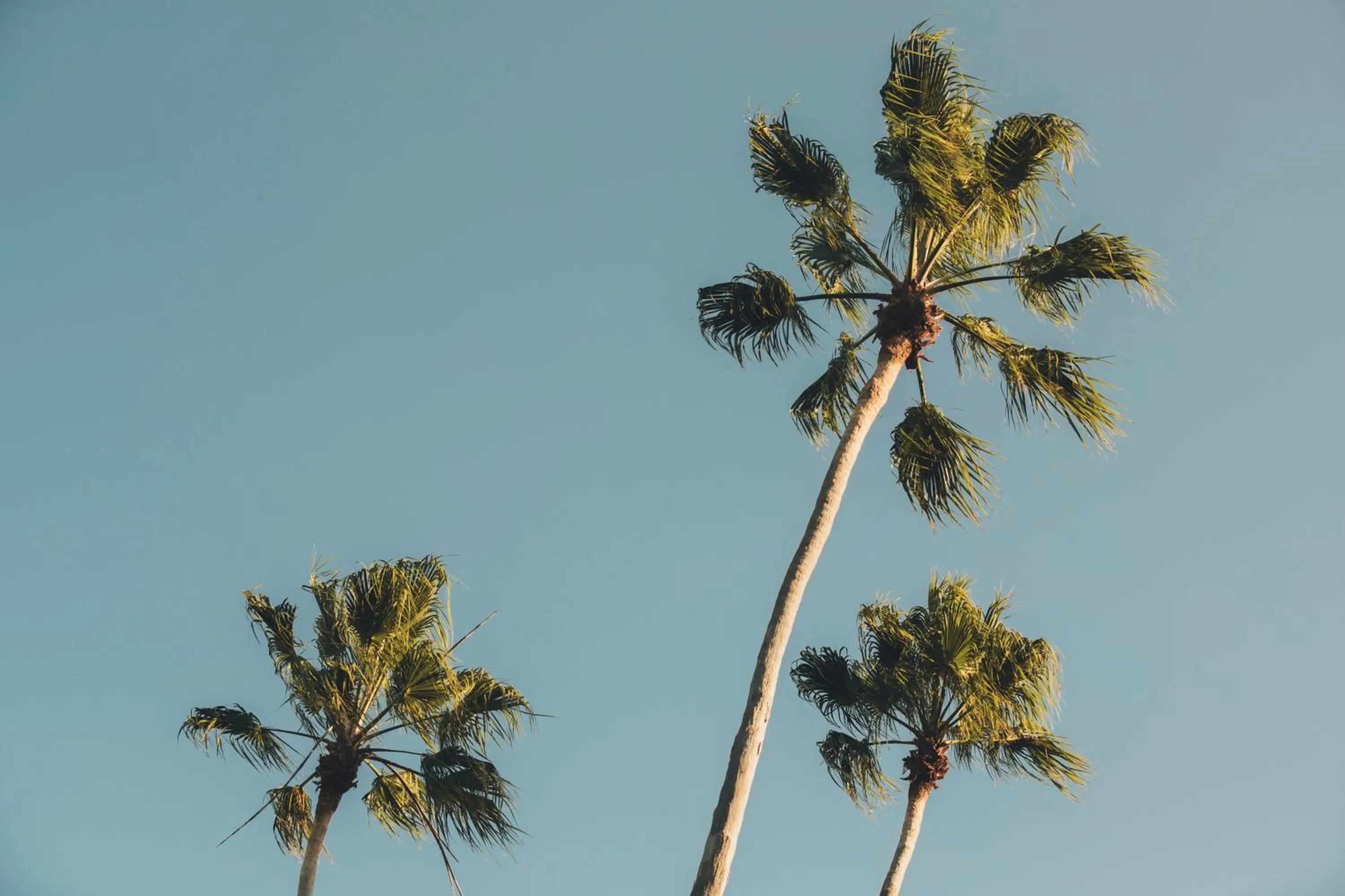 Natural landscape in The Sebel Kiama