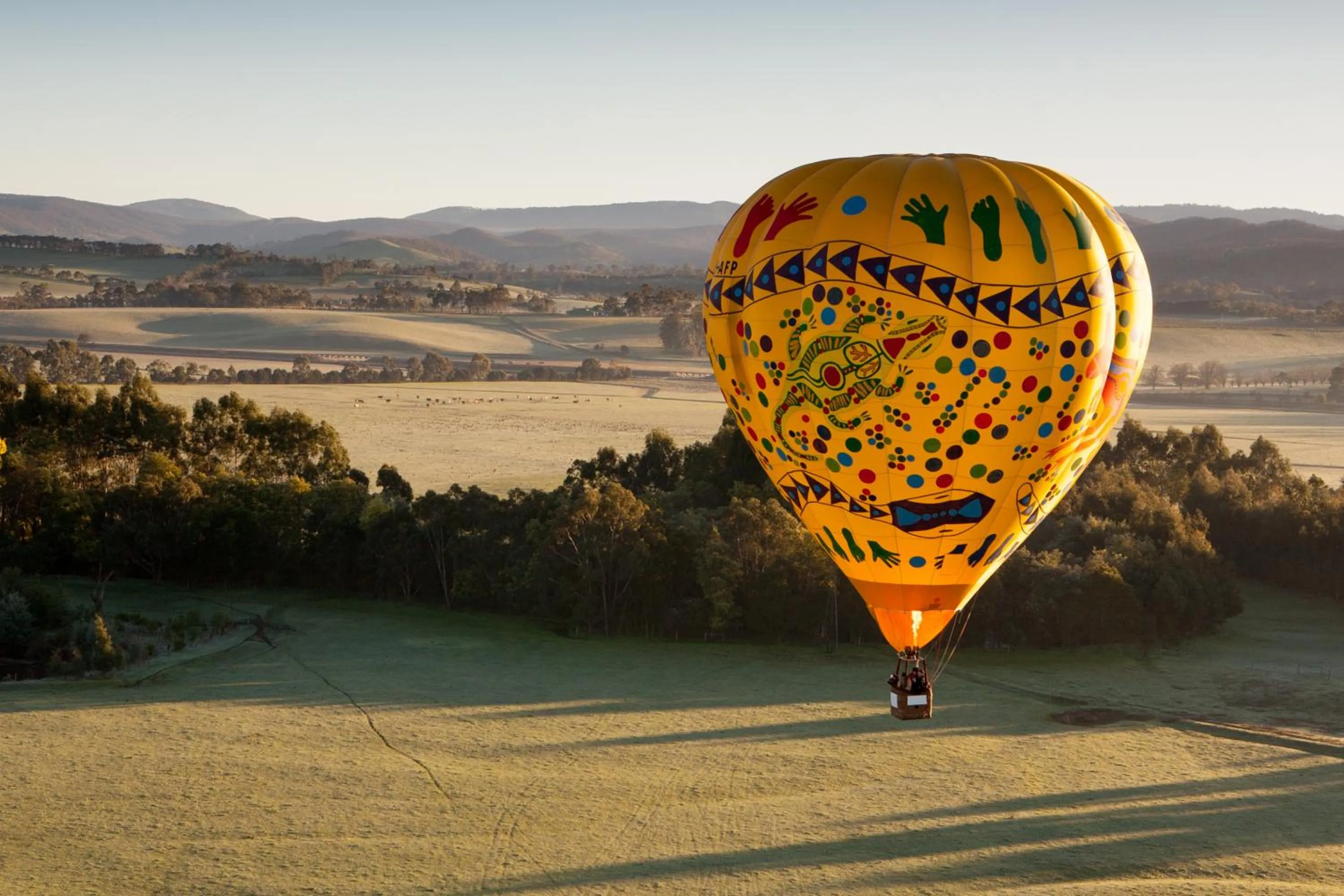 Natural landscape in Yarra Valley Lodge