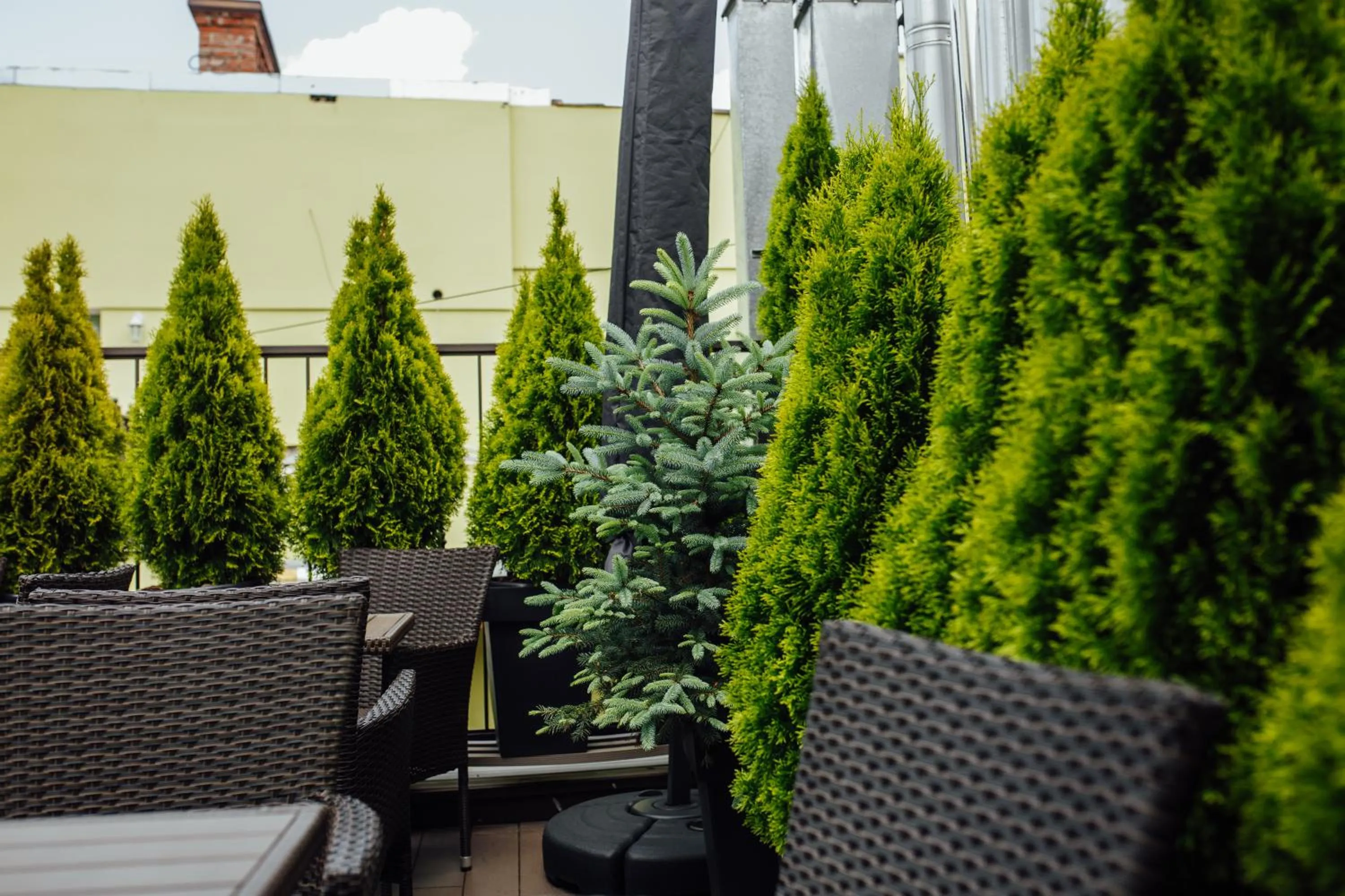 Balcony/Terrace in Apart-hotel Horowitz