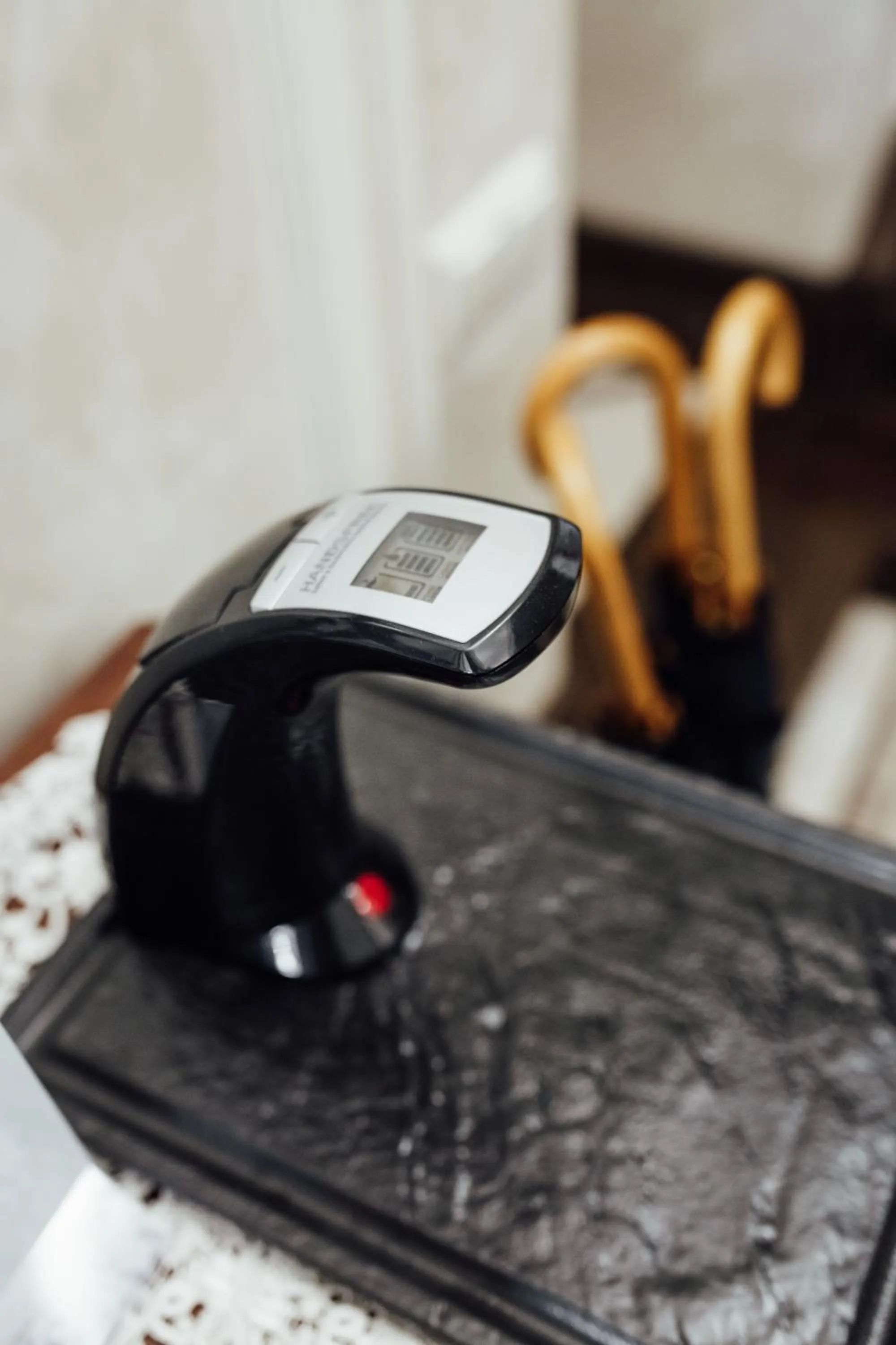 Other in Apart-hotel Horowitz