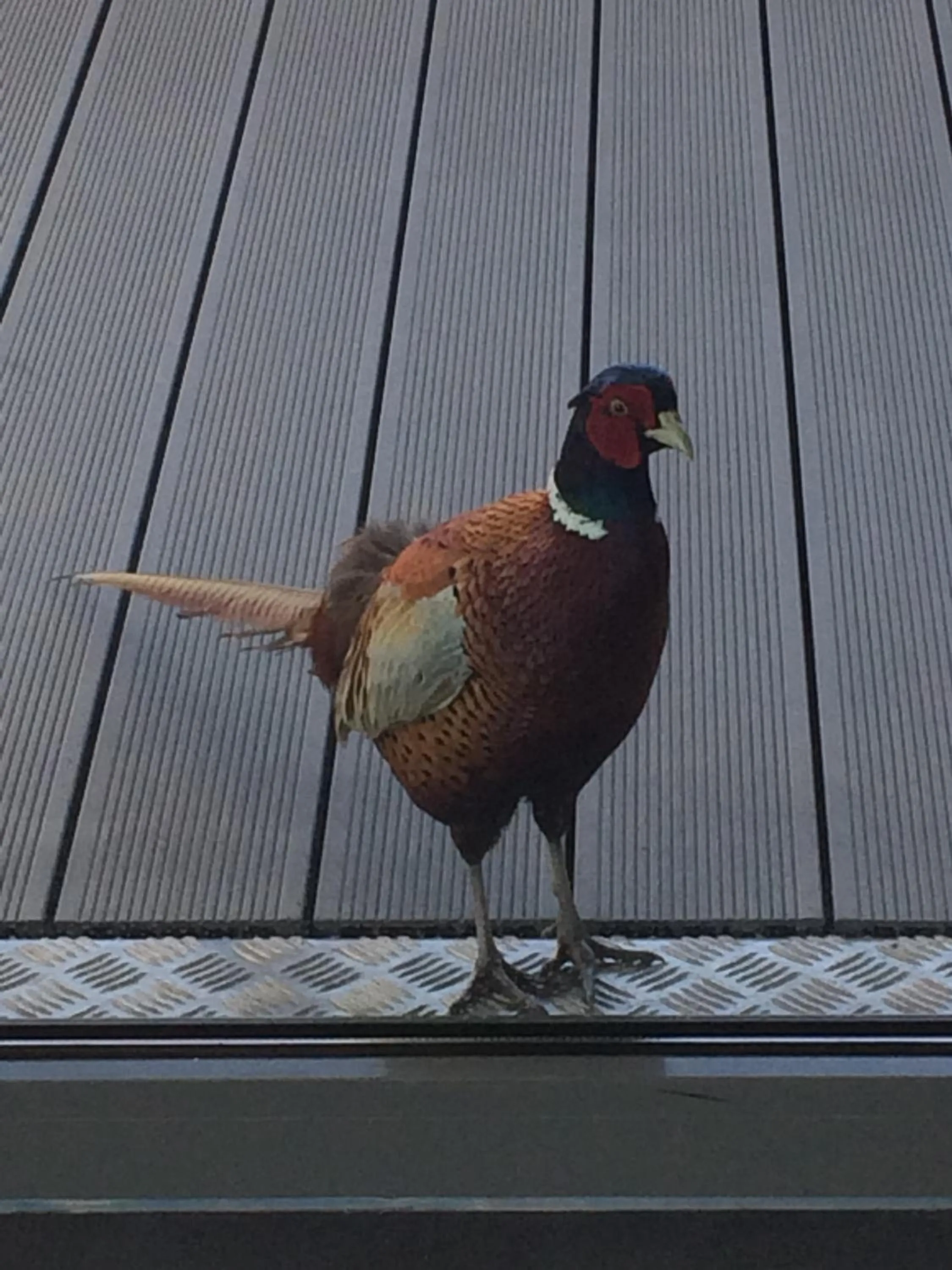 Property building in Hotel - Restaurant La Claire Forêt