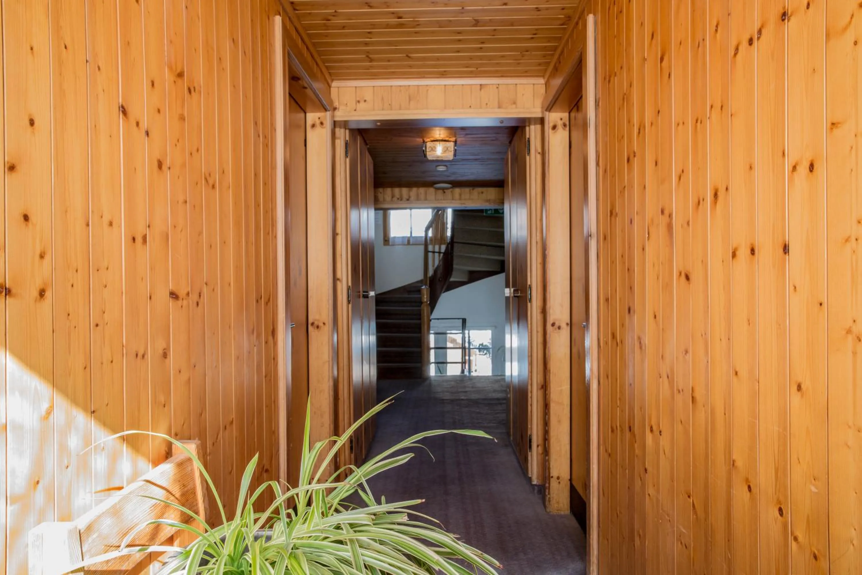 Area and facilities in Hotel Burgener