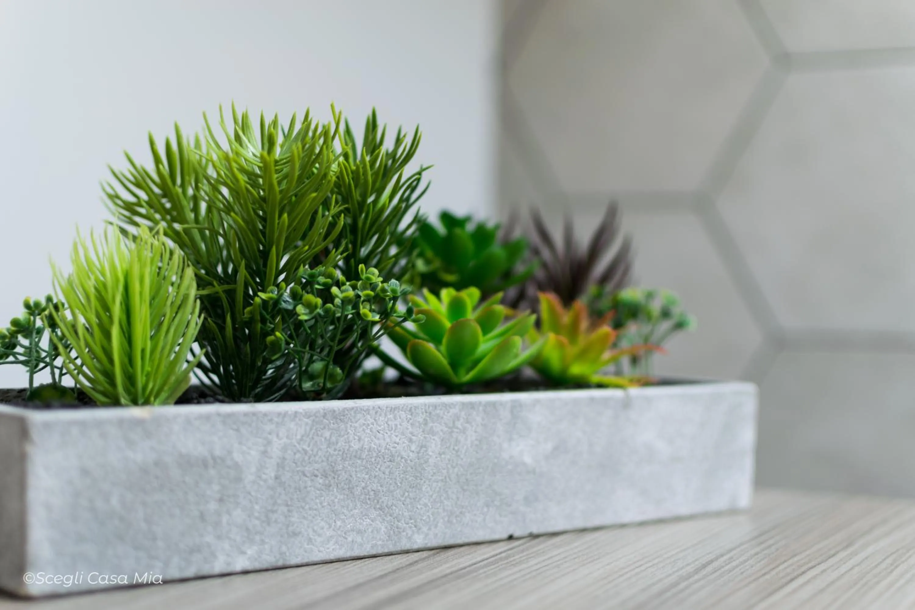 Decorative detail in Ottocento Guest House