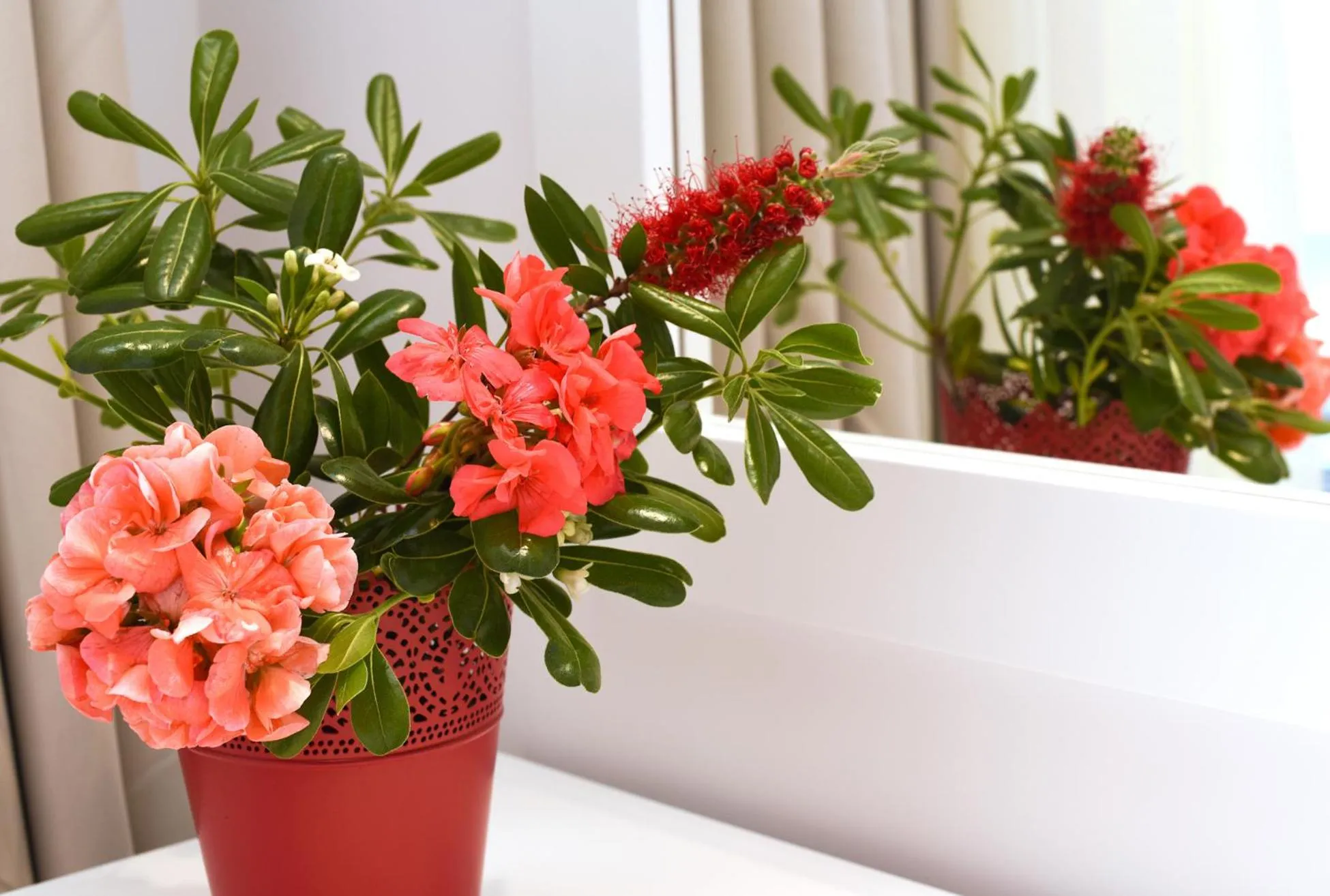 Property building in Palapart Gikas Gouvia