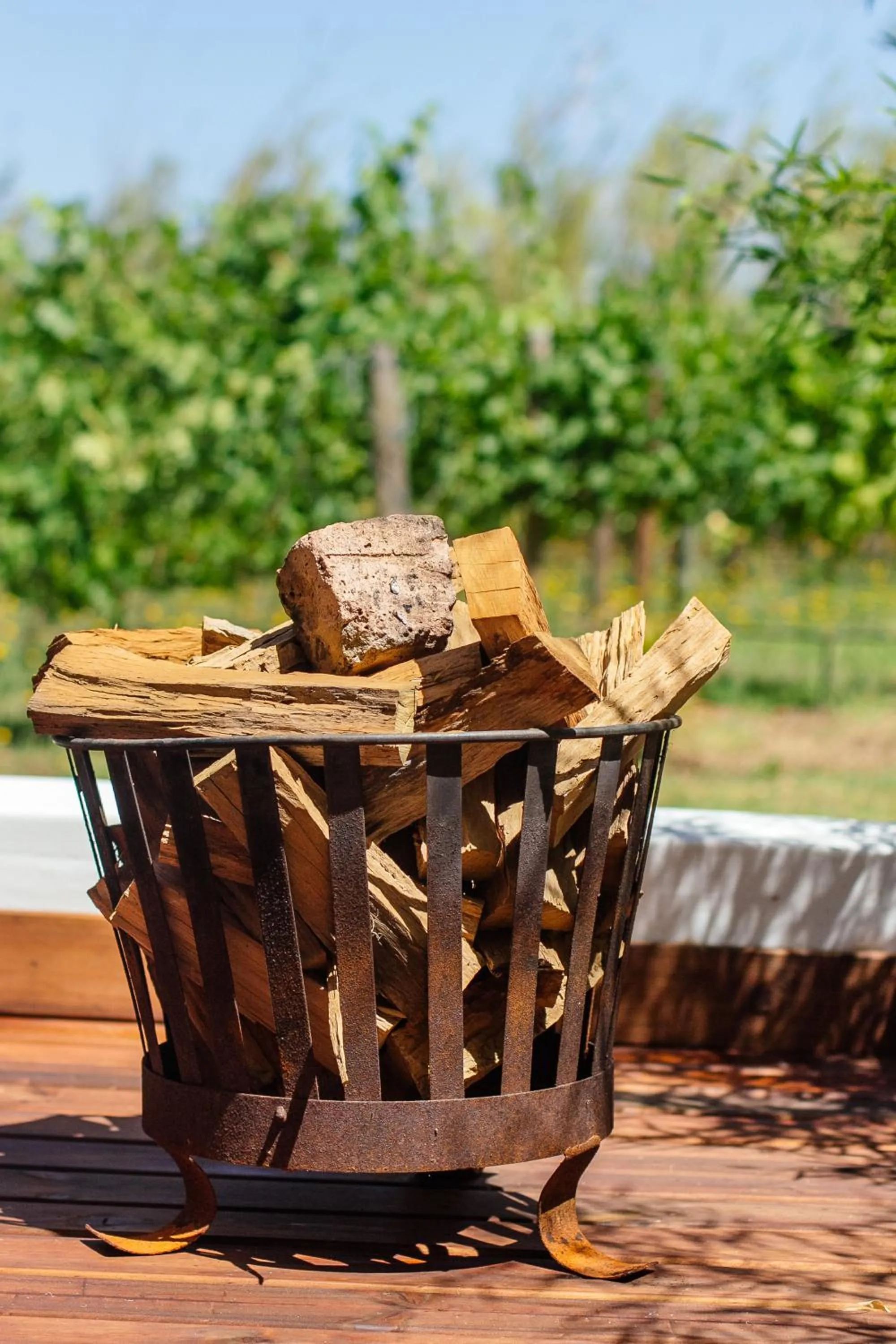 BBQ facilities in Rest at Chabivin