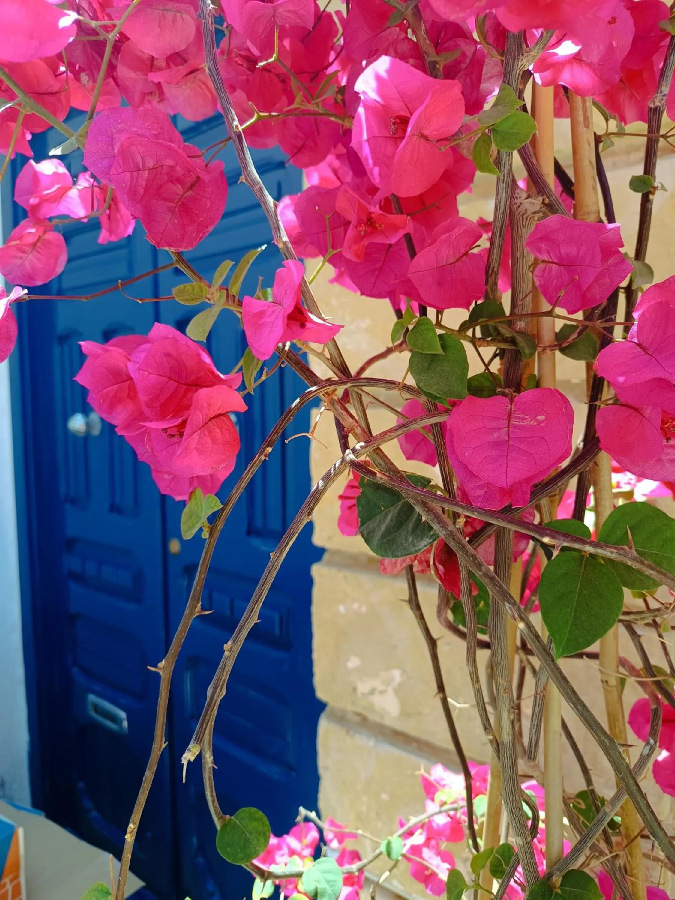 Follow the Sun Boutique Hostel - Pool, Breakfast & Sea Views