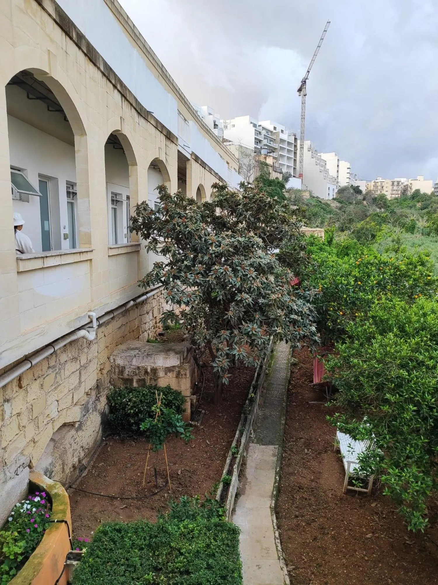 Garden in Follow the Sun Boutique Hostel - Pool, Breakfast & Sea Views