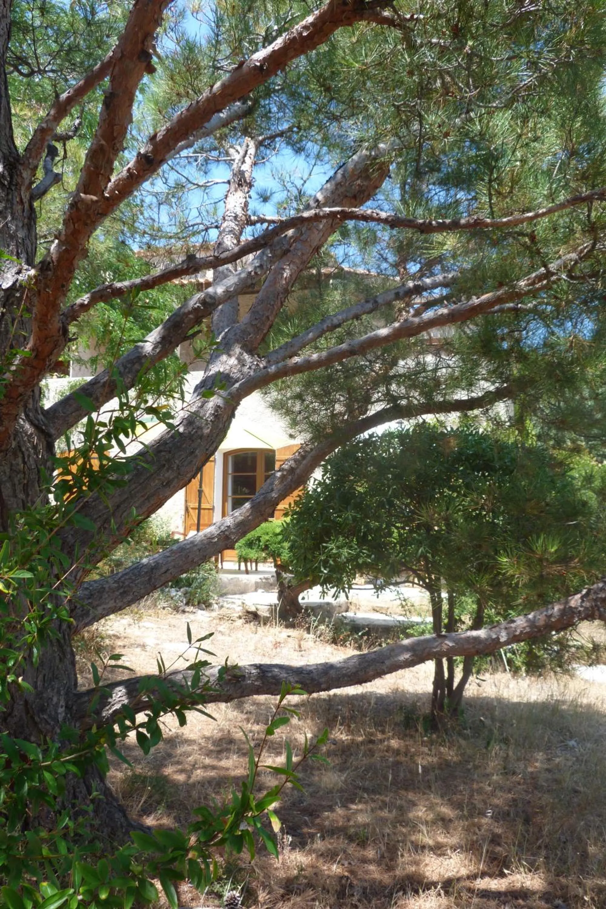 Chez nous Cassis