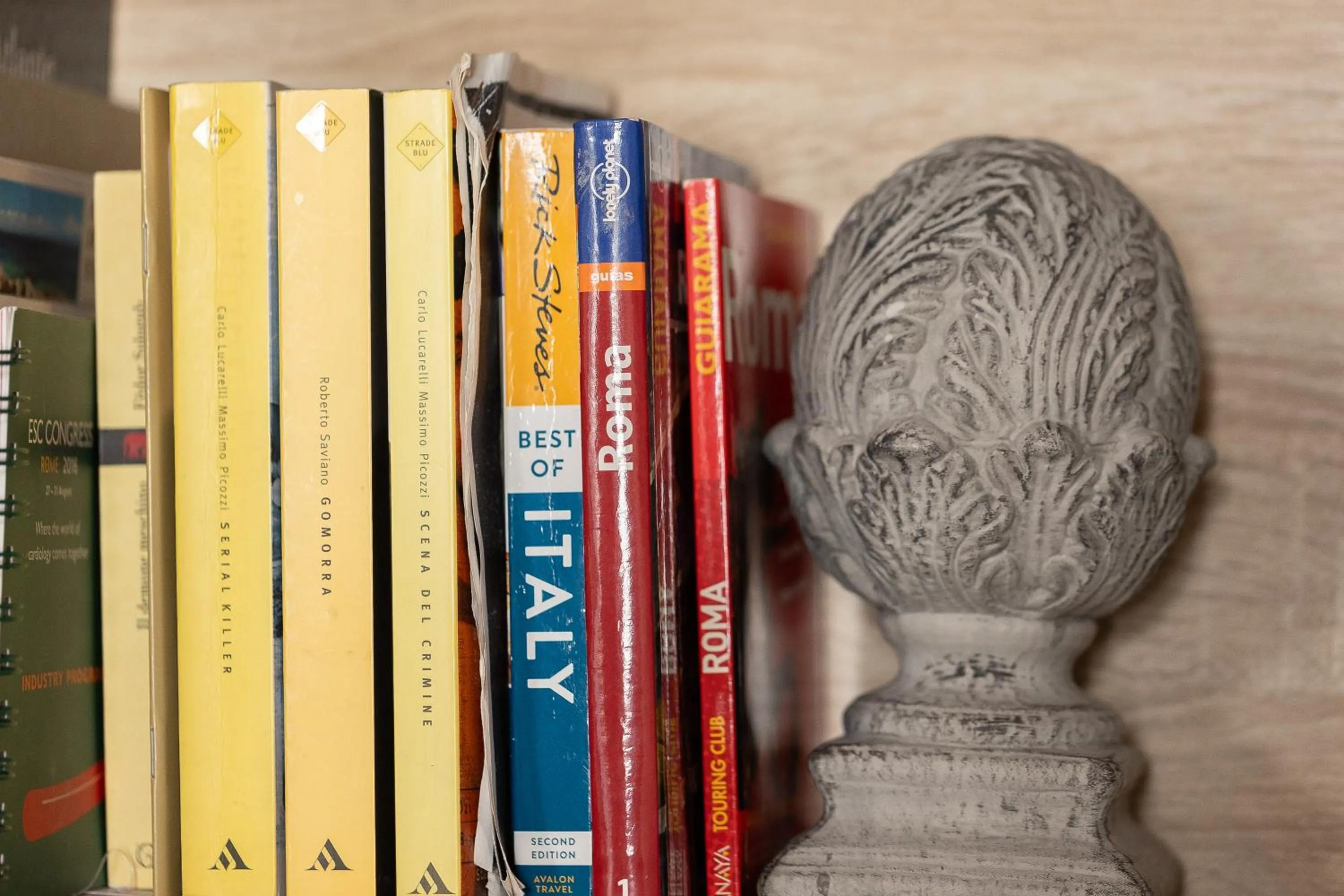 Library in Piazza Navona Lovely Apartment