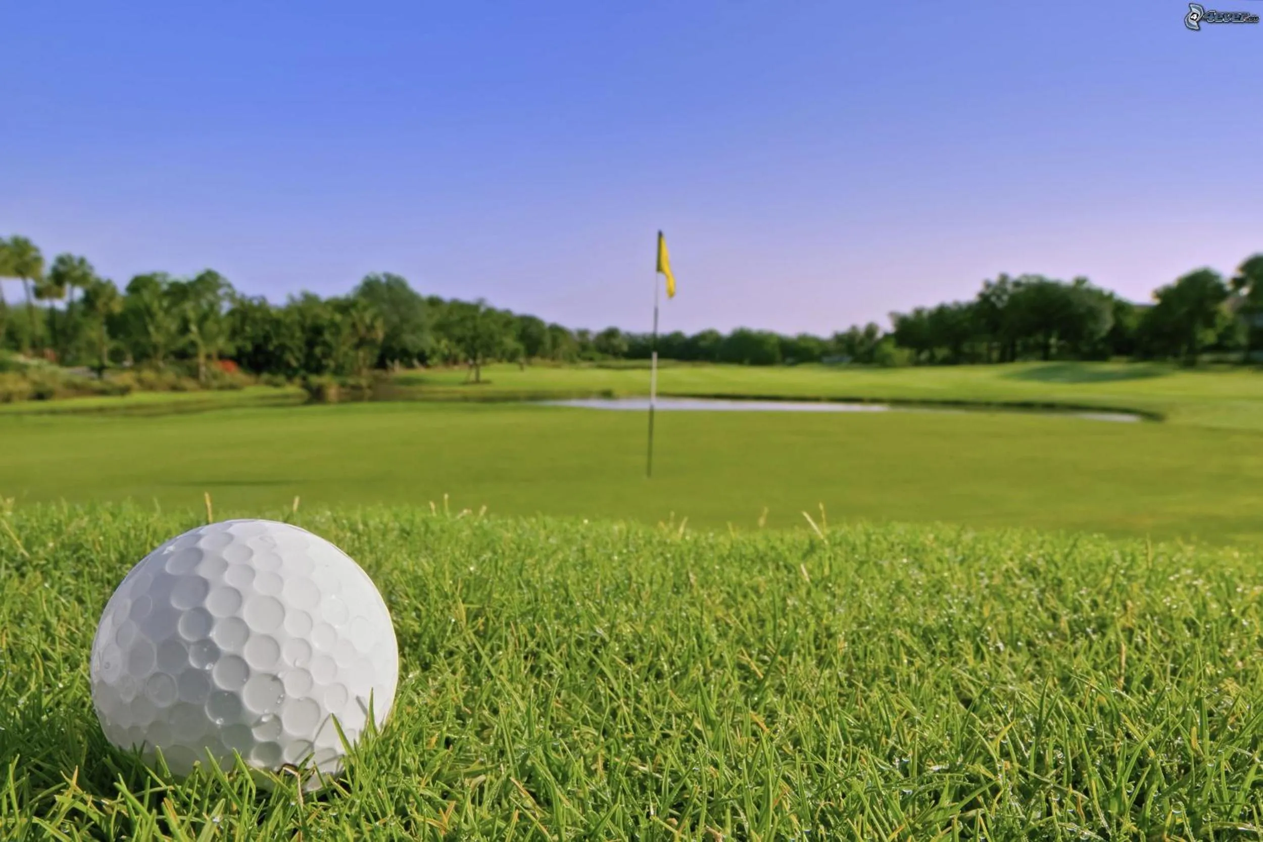 Golfcourse in Apartamentos Navalin