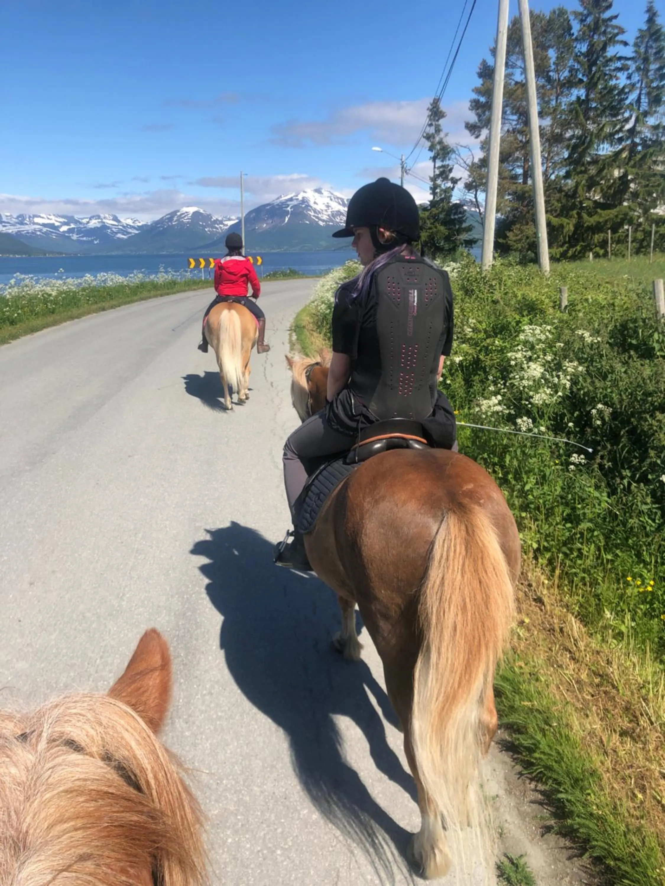 Neighbourhood in Bardufoss Hotell