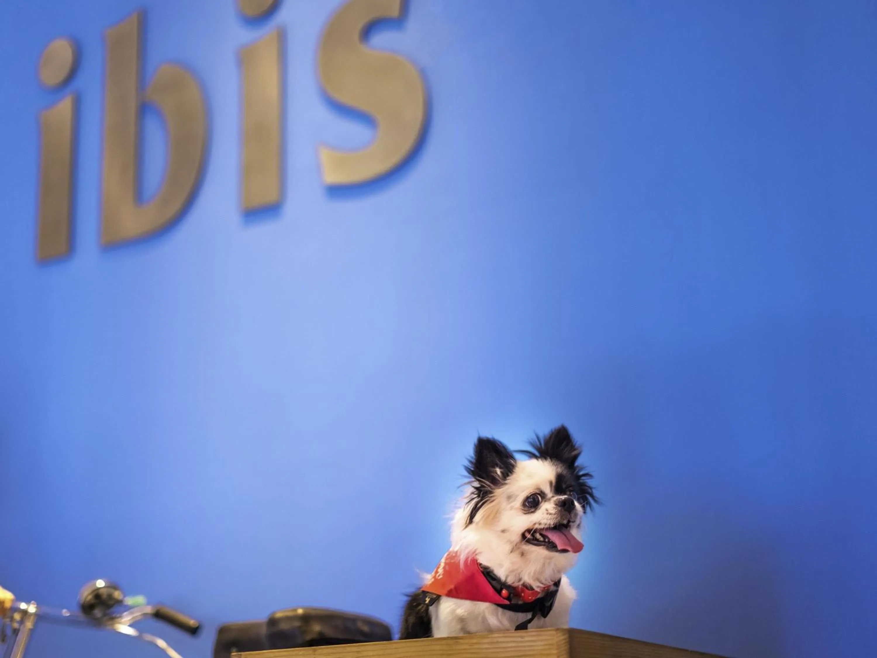 Property building in Ibis Chennai OMR - An Accor Brand