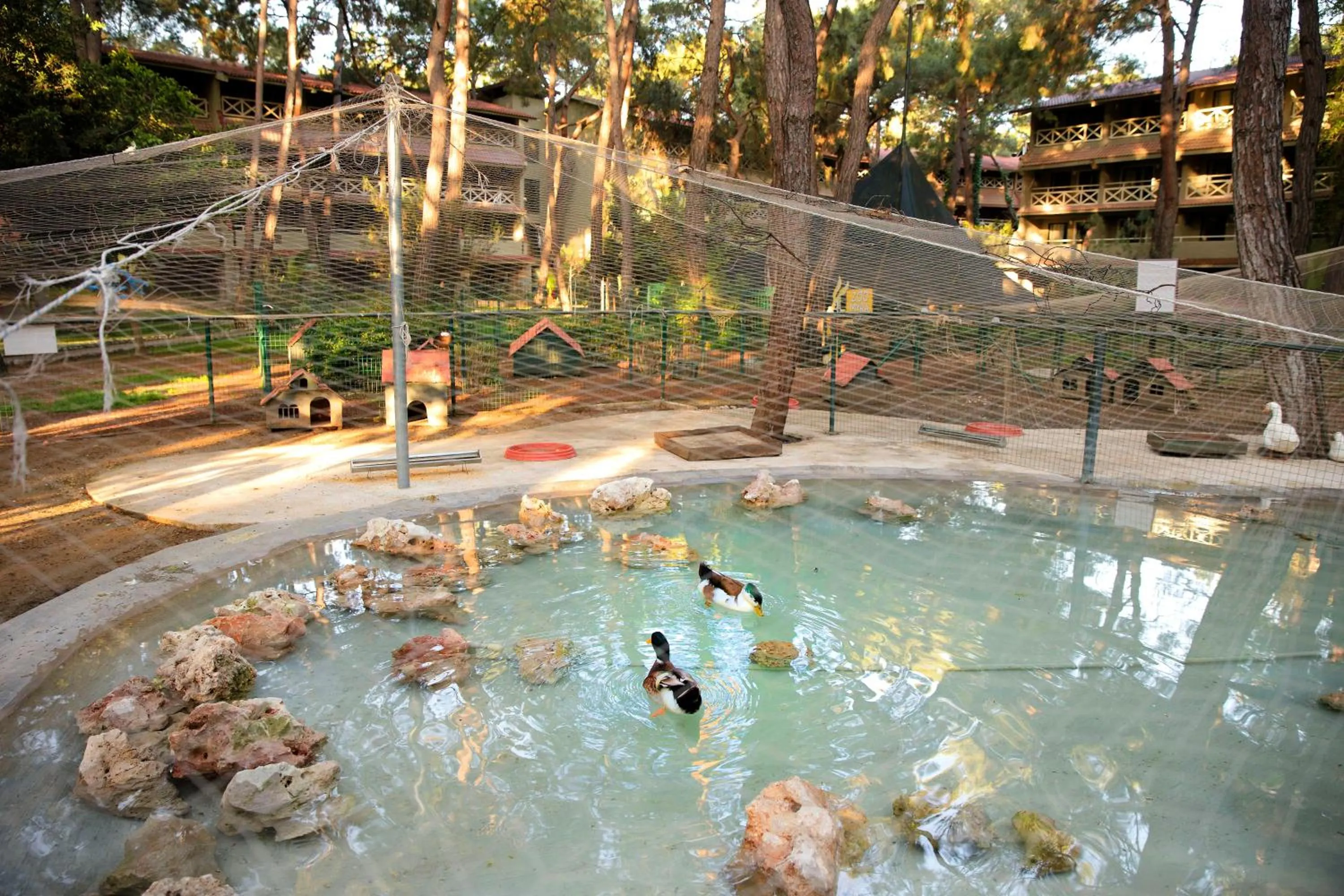 Garden in Martı Myra - Ultra All Inclusive