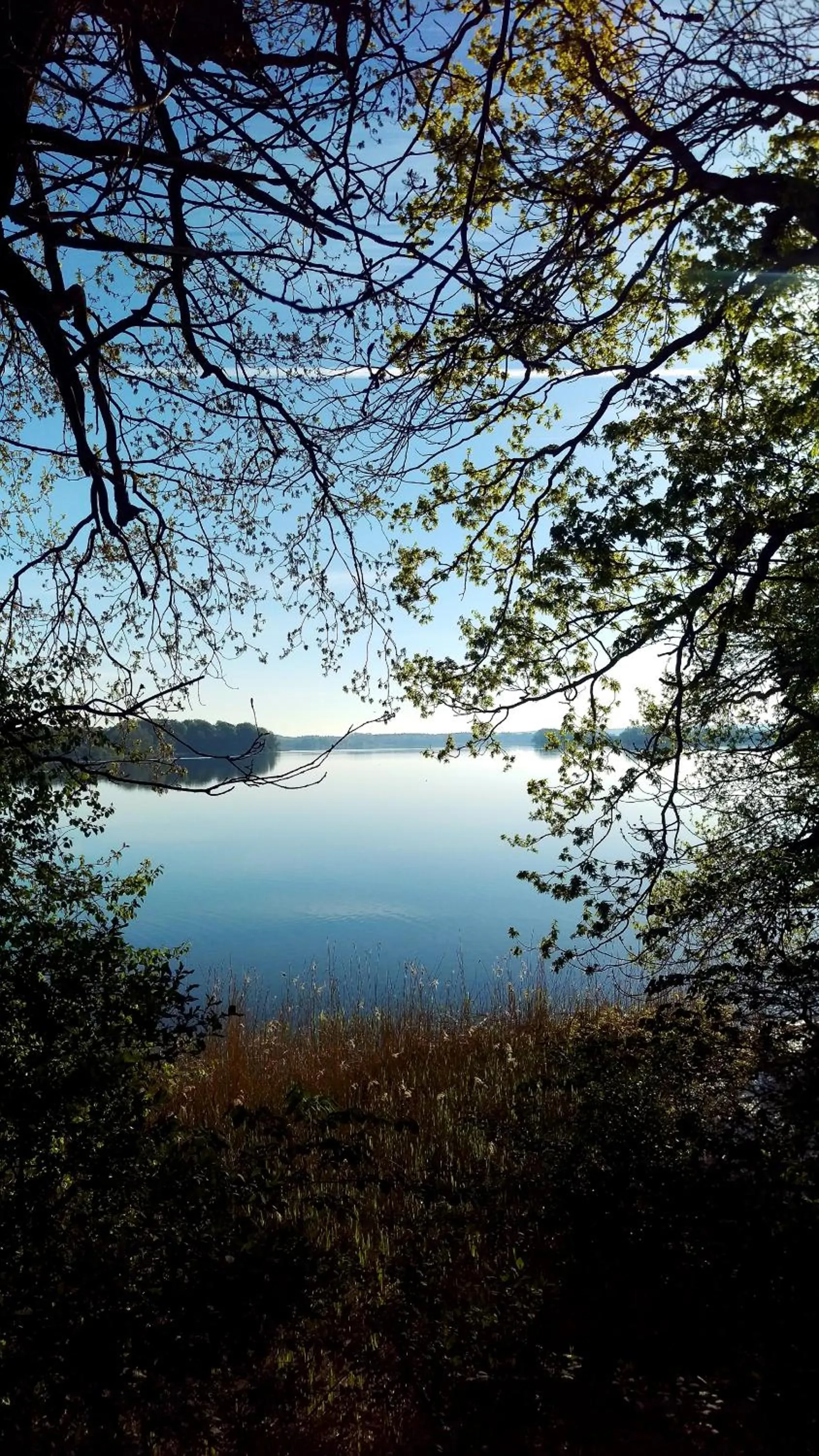 Natural landscape in Nordischer Hof