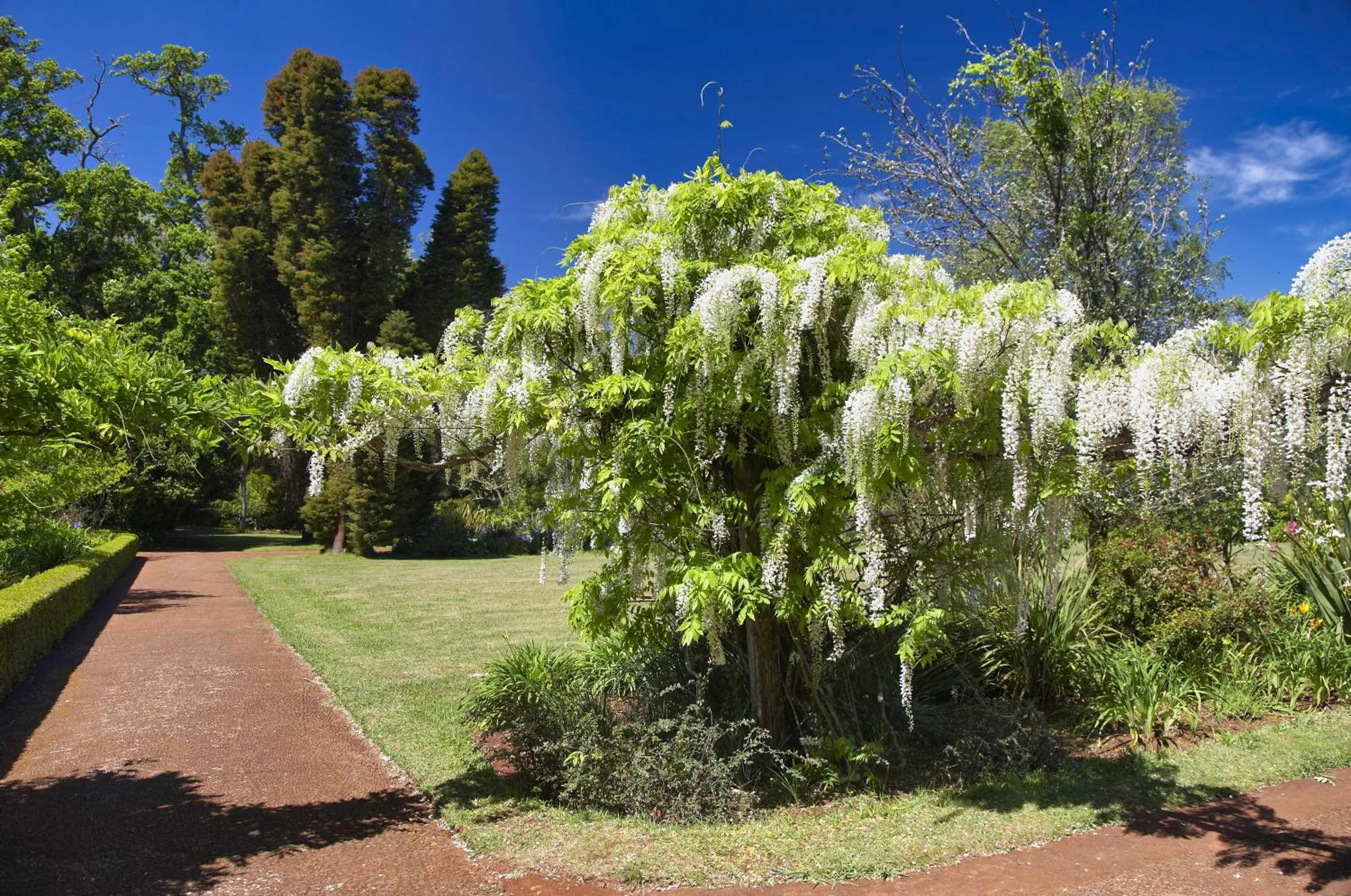 Garden in Palheiro Village Resort