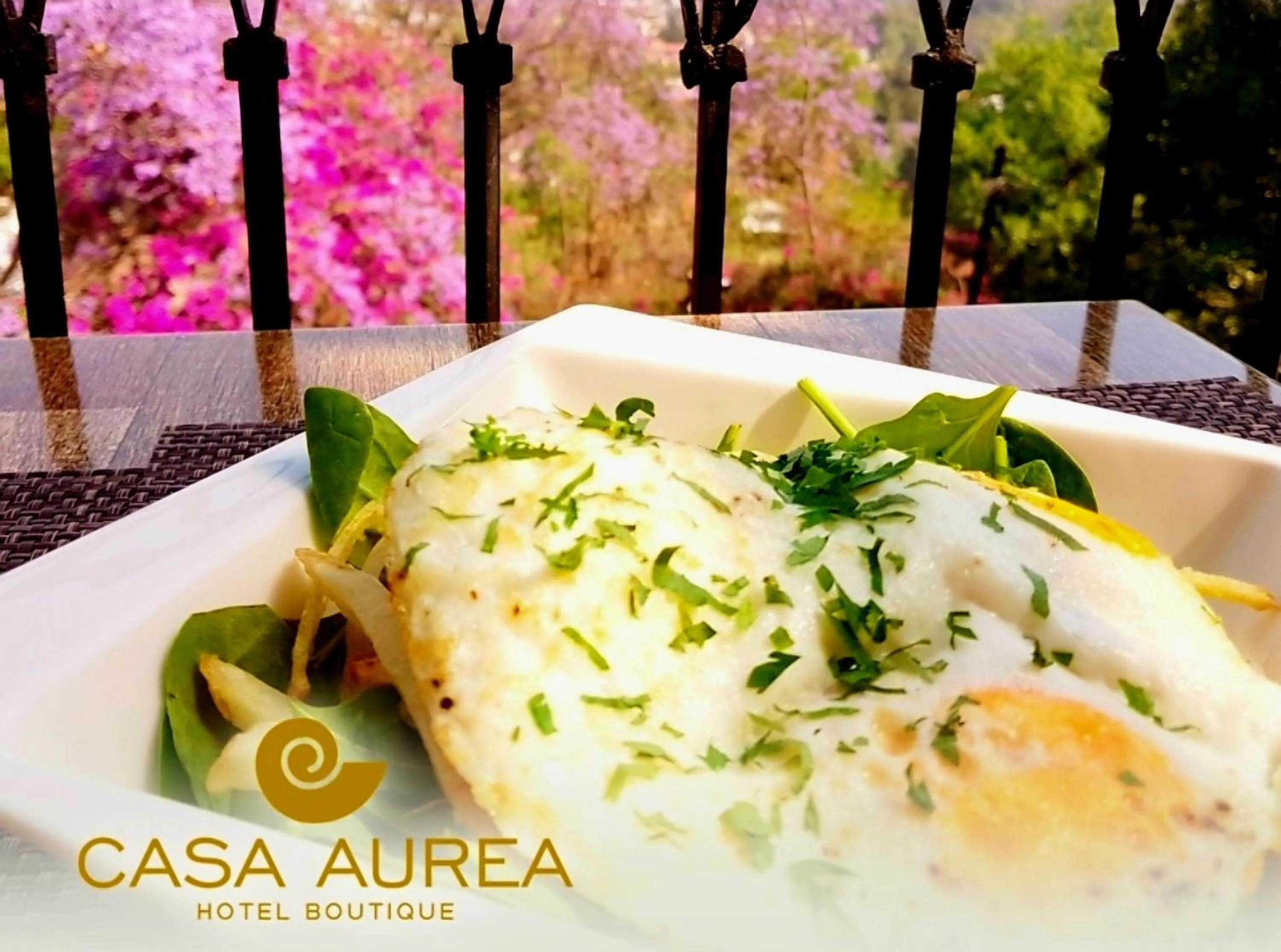 Restaurant/places to eat in Casa Aurea Hotel Boutique