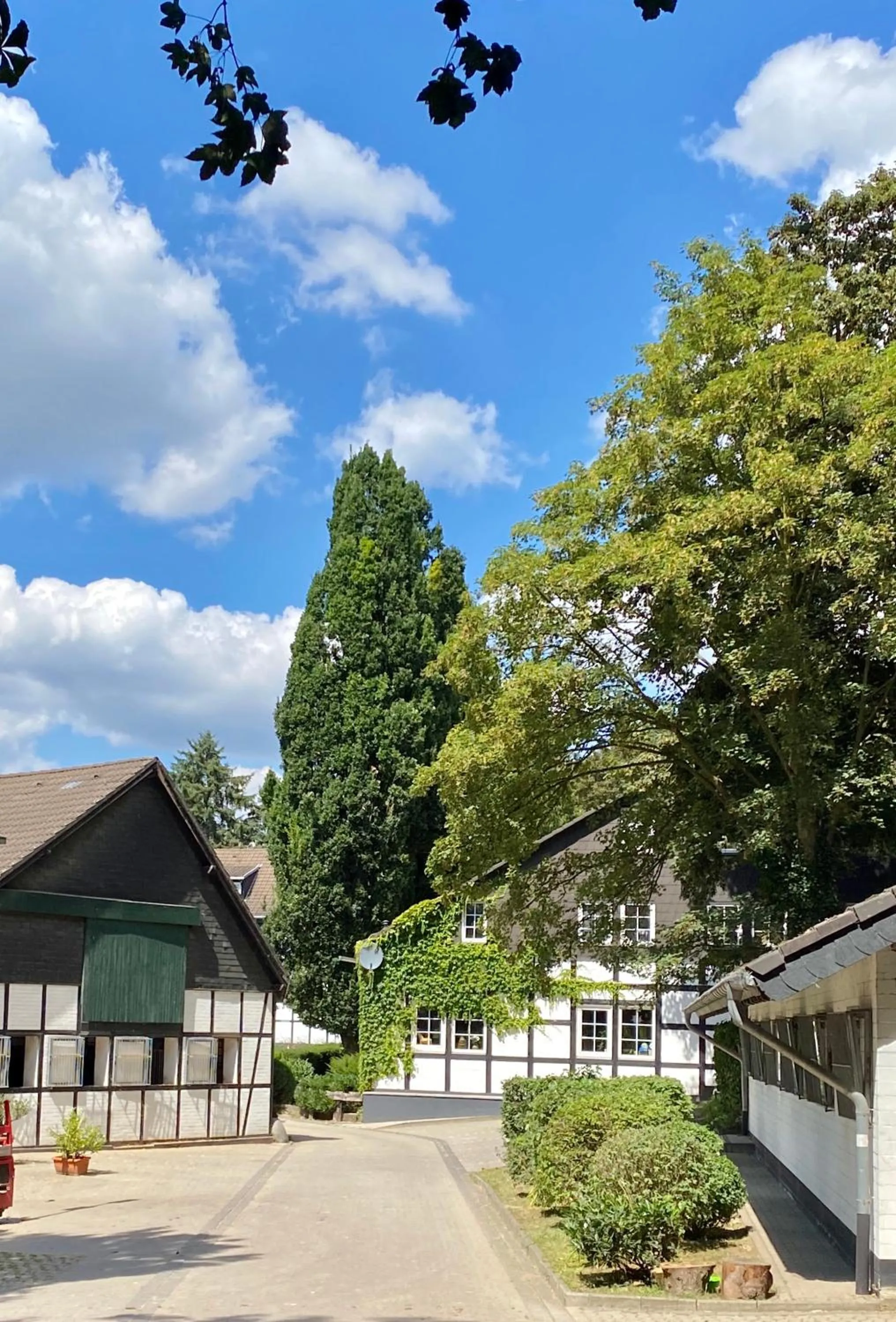 Area and facilities in Hotel Gut Moschenhof