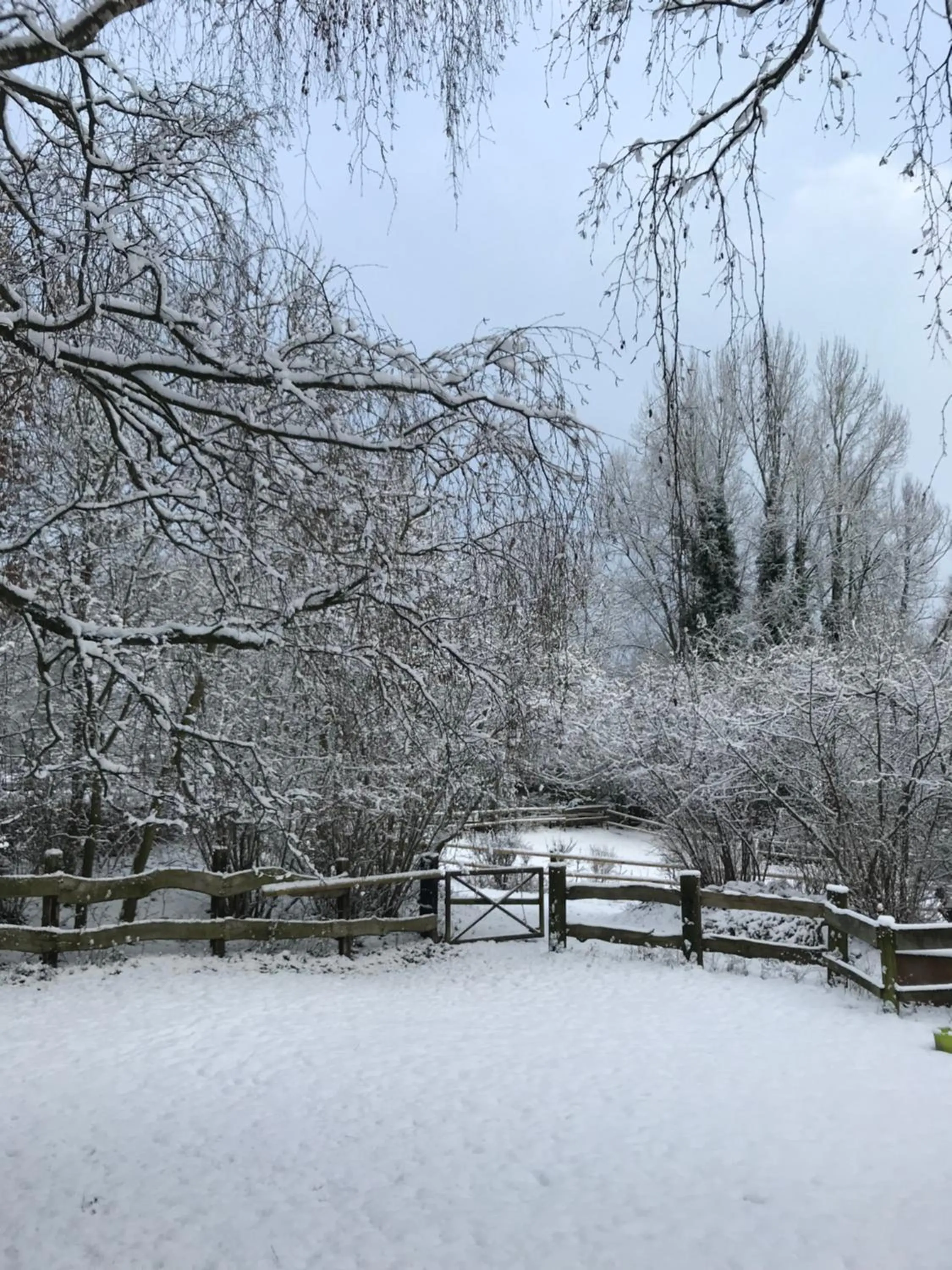 Area and facilities in Hotel Gut Moschenhof